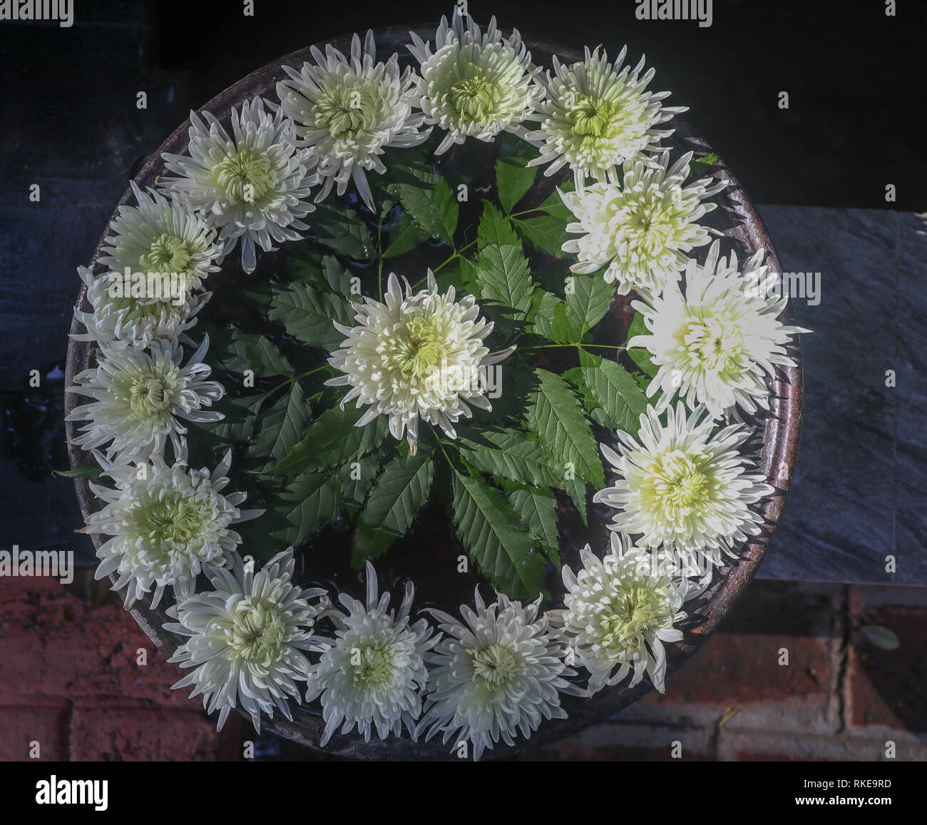 Flower arrangement zen style hi-res stock photography and images - Alamy