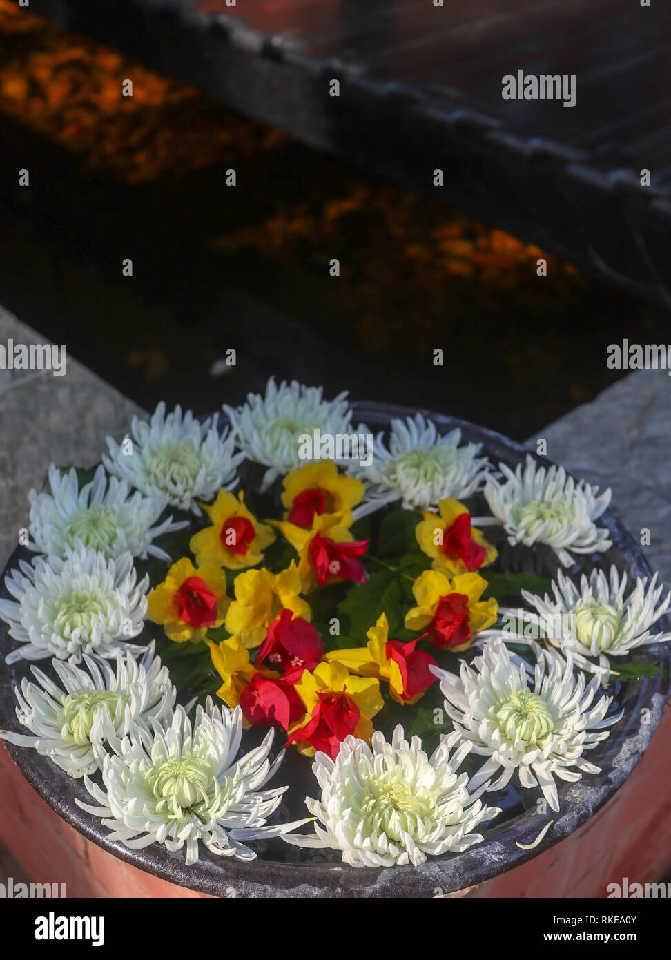 decorative flowers in a vase in zen style Stock Photo Alamy