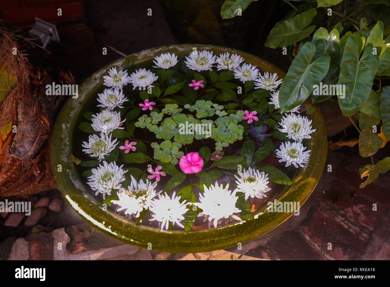 decorative flowers in a vase in zen style Stock Photo Alamy