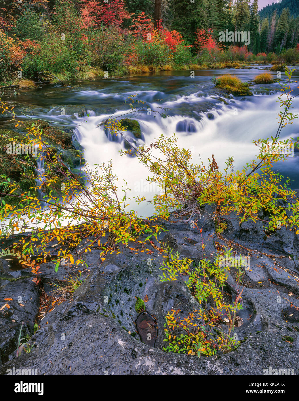 Rogue River National Wild and Scenic River, Rogue River National Forest, Oregon Stock Photo