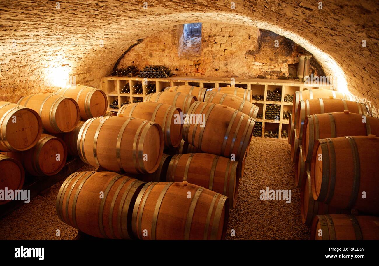 Barrels, L'Obédiencerie, Domaine Laroche, Wine cellar, Chablis, Yonne, Bourgogne, Burgundy, France, Europe Stock Photo