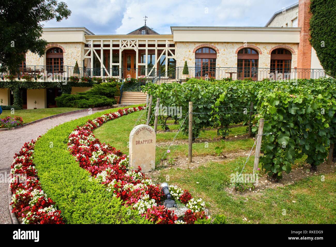 champagne drappier urville aube champagne ardenne france europe stock photo alamy