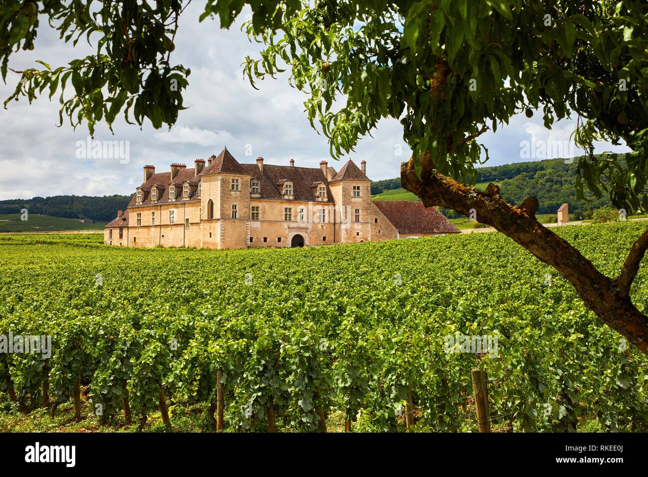 château du clos de vougeot