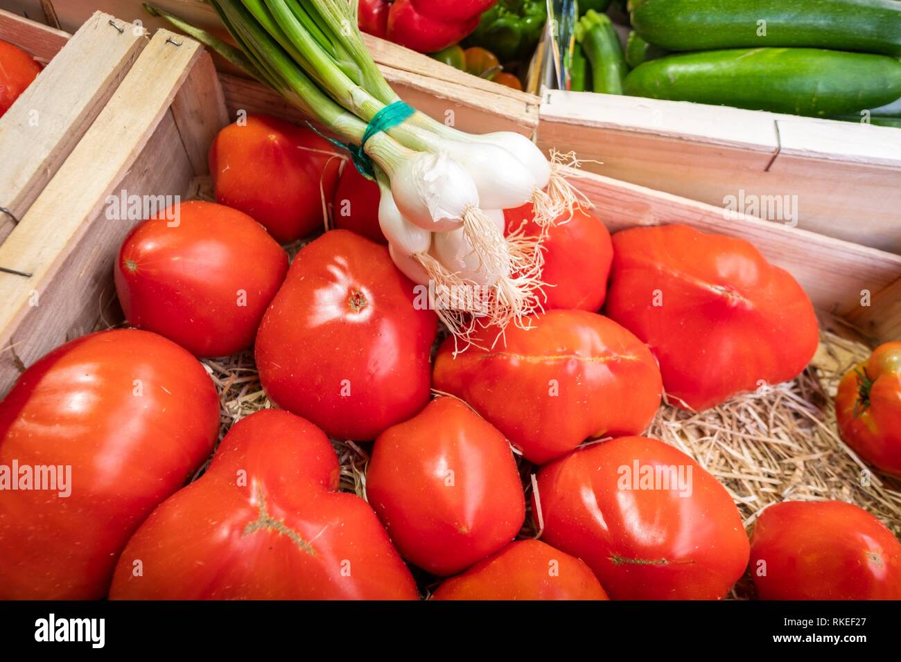 Vegetables, ''Coeur de Boeuf'' tomatoes and small green onions. Stock Photo