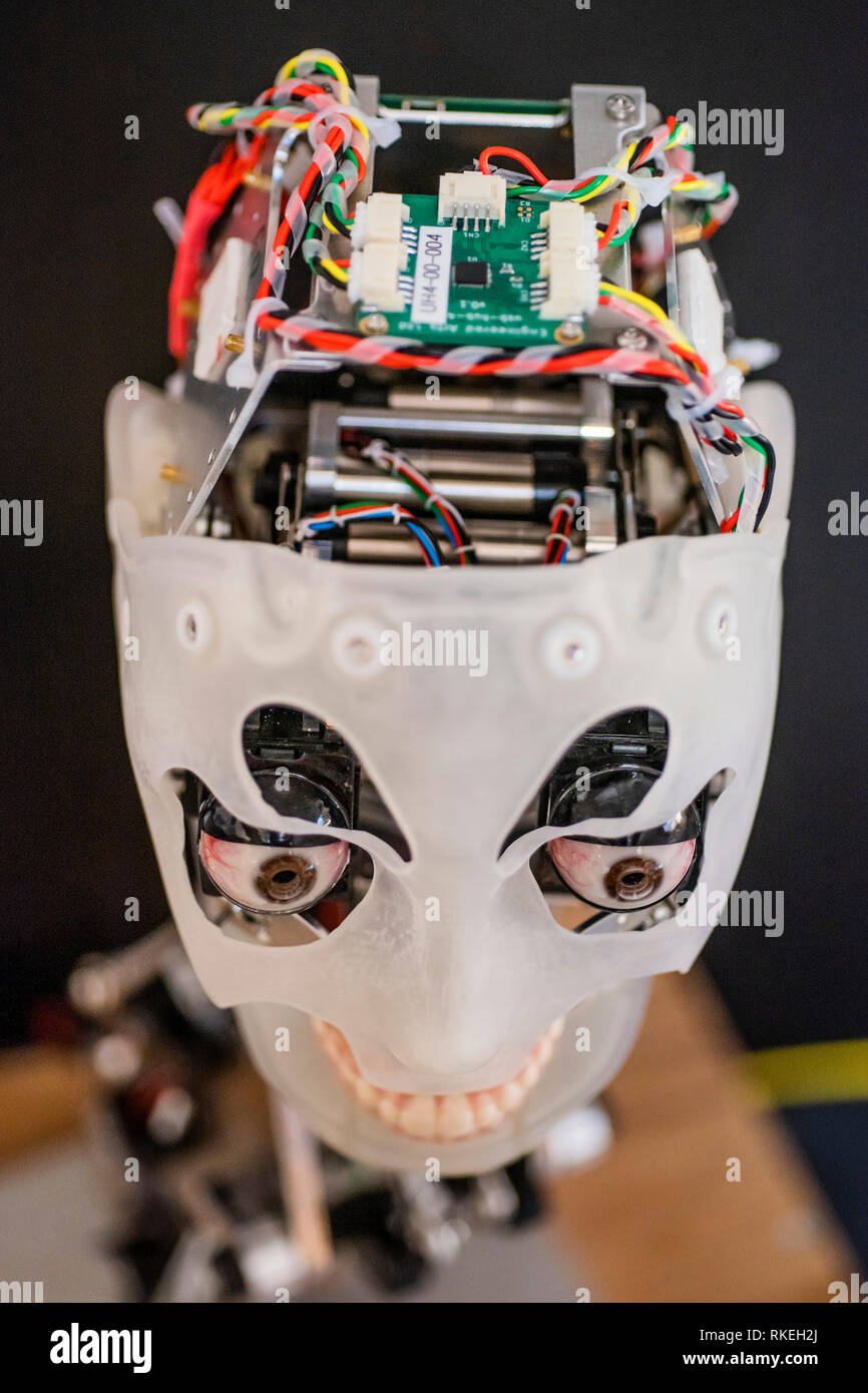 Penrith, Cornwall, UK. 07th Feb, 2019. Ai-da's head is nearly complete, awaiting its 'skin' - The first humanoid robot artist Ai-Da being assembled at Engineered Arts, Cornwall ahead of her inaugural exhibition at Lady Margaret Hall on 8 May 2019. She is the brainchild of gallery owner and art specialist, Aidan Meller and he will also direct and curate the exhibition. Credit: Guy Bell/Alamy Live News Stock Photo