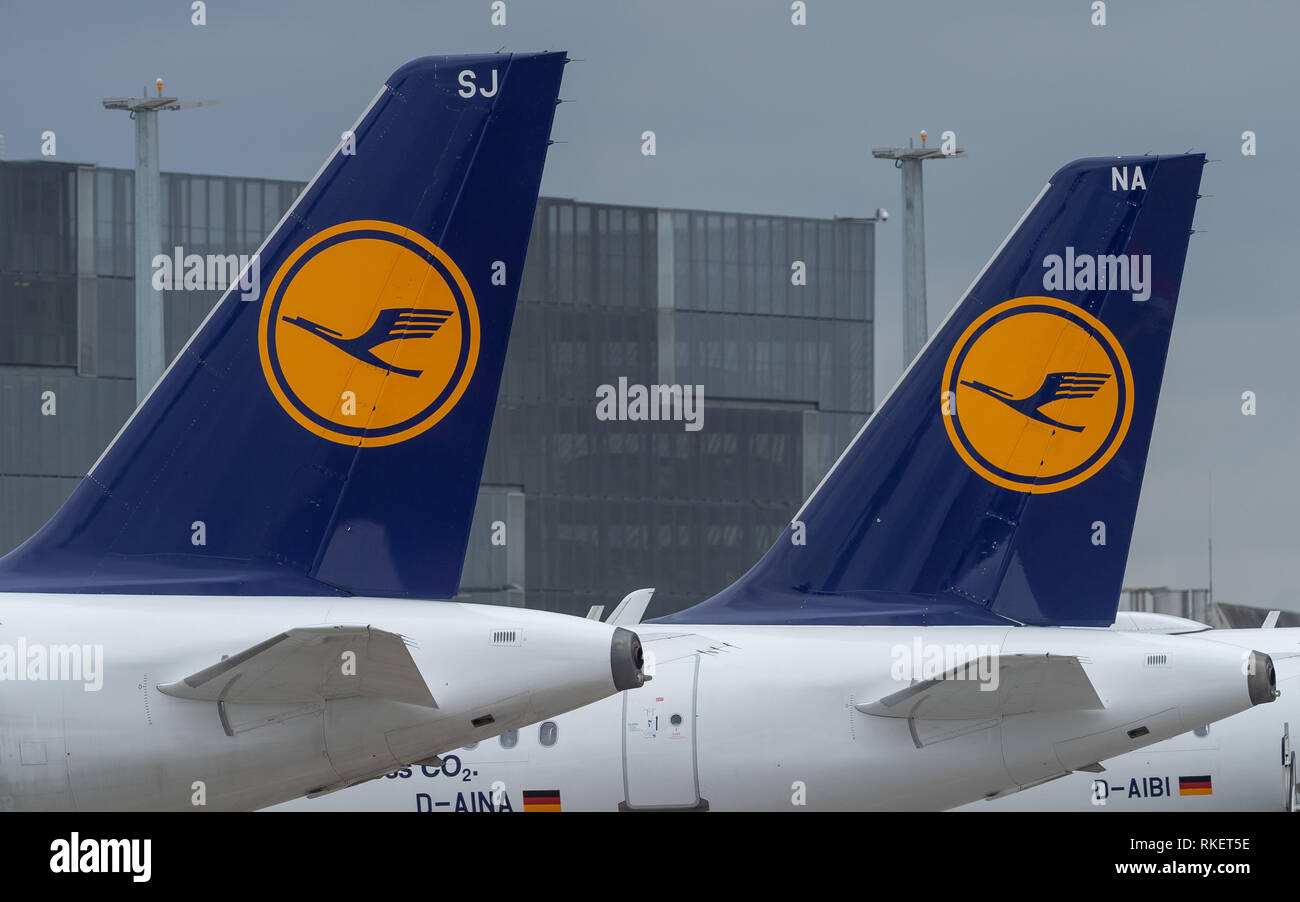 11 February 2019, Hessen, Frankfurt/Main: Logos of the airline Lufthansa can be seen on passenger planes at Frankfurt Airport. Photo: Silas Stein/dpa Stock Photo