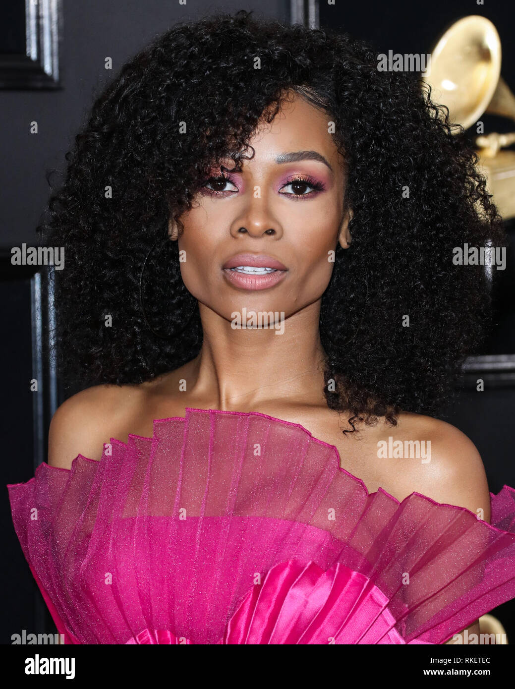 Los Angeles, United States. 10th Feb, 2019.LOS ANGELES, CA, USA