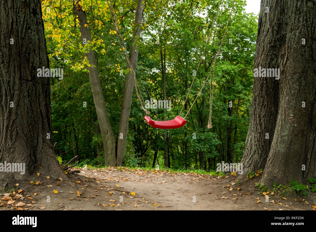 Red swings in between two trees in the woods, fun outdoor activity for
