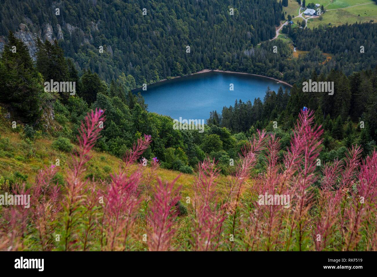 View from Feldberg Mountain. Feldsee lake. Black Forest. Baden-Wuerttemberg, Germany, Europe Stock Photo