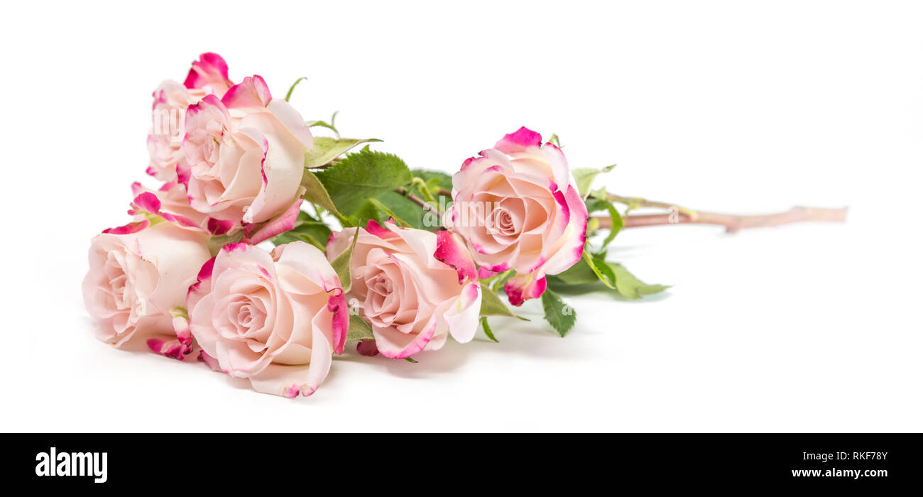 Details 100 death anniversary background images Abzlocal.mx