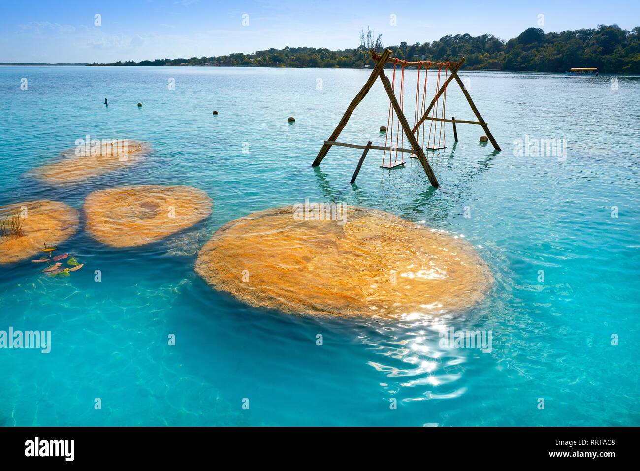 Estromatolitos Stromatolites In Bacalar Lagoon Of Mexico In Quintana Roo Stock Photo Alamy Estromatolitos Stromatolites In Bacalar Lagoon Of Mexico In Quintana Roo Stock Photo Alamy