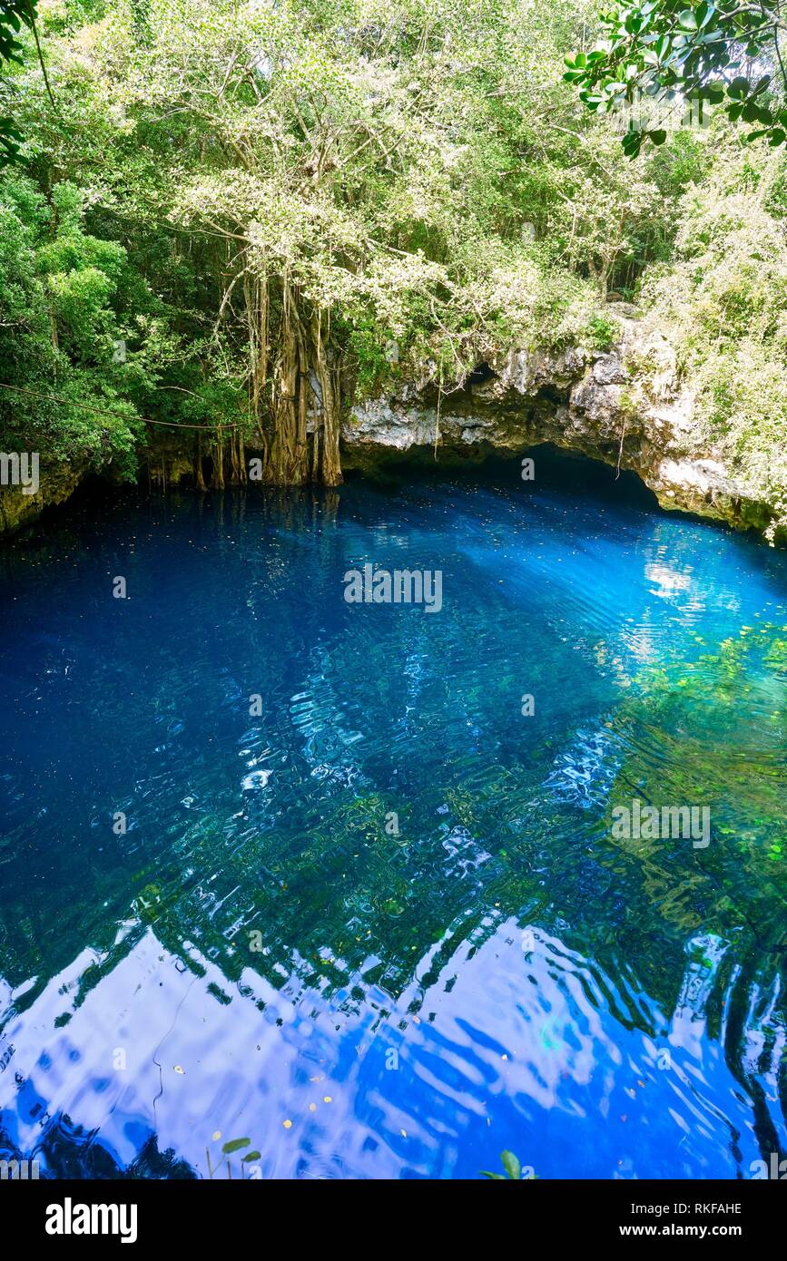 Cenote Sinkhole In Rainforest Jungle Of Riviera Maya At