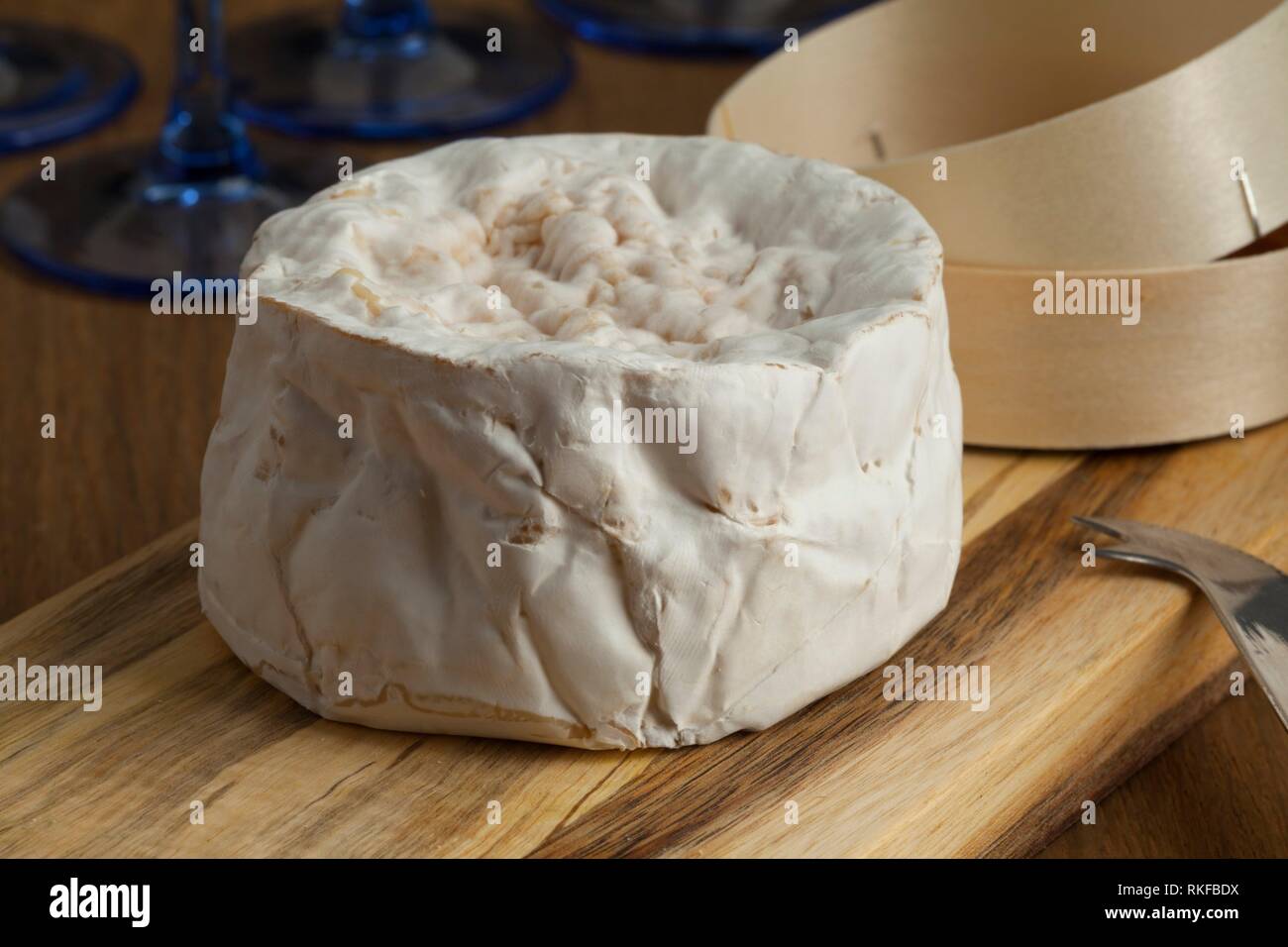 Small camembert cheese close up on a french cheese board. Stock Photo