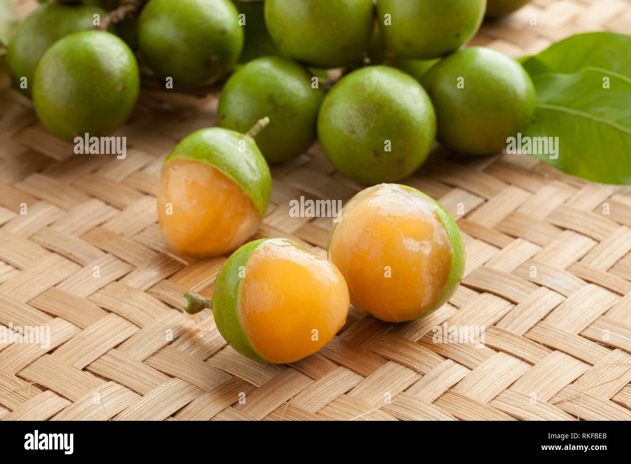 Fresh ripe peeled quenepa fruit. Stock Photo