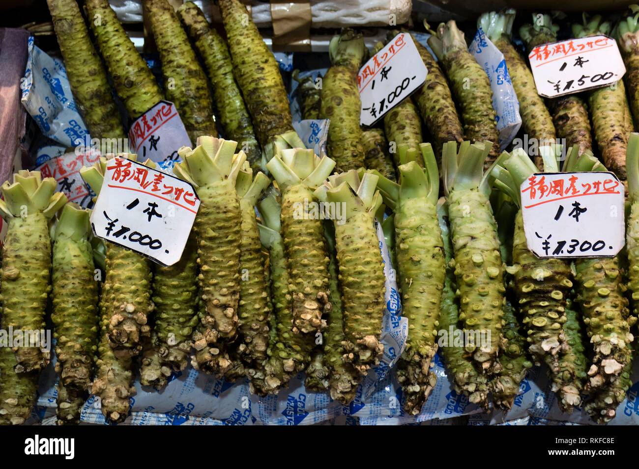 Fresh green Wasabi roots on ice to prepare Wasabi paste for sushi at the  Omicho Market Stock Photo - Alamy