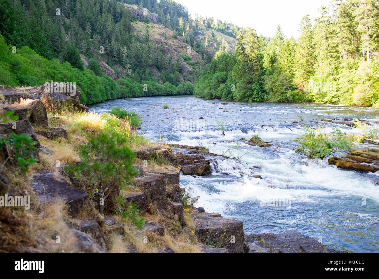 North Umpqua River near Glide and Steamboat Oregon in National Forest ...