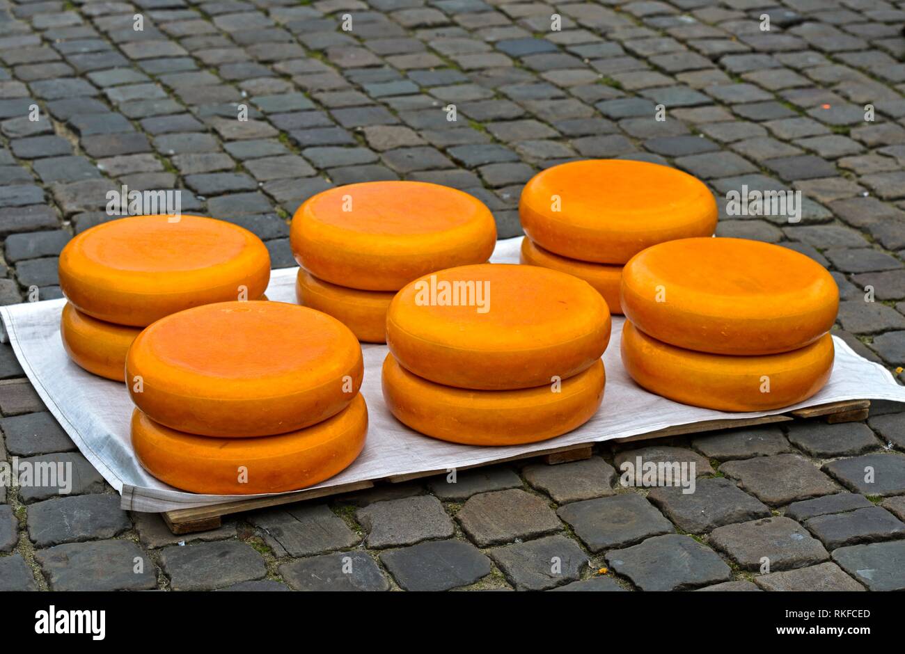 Gouda cheese wheel hires stock photography and images Alamy