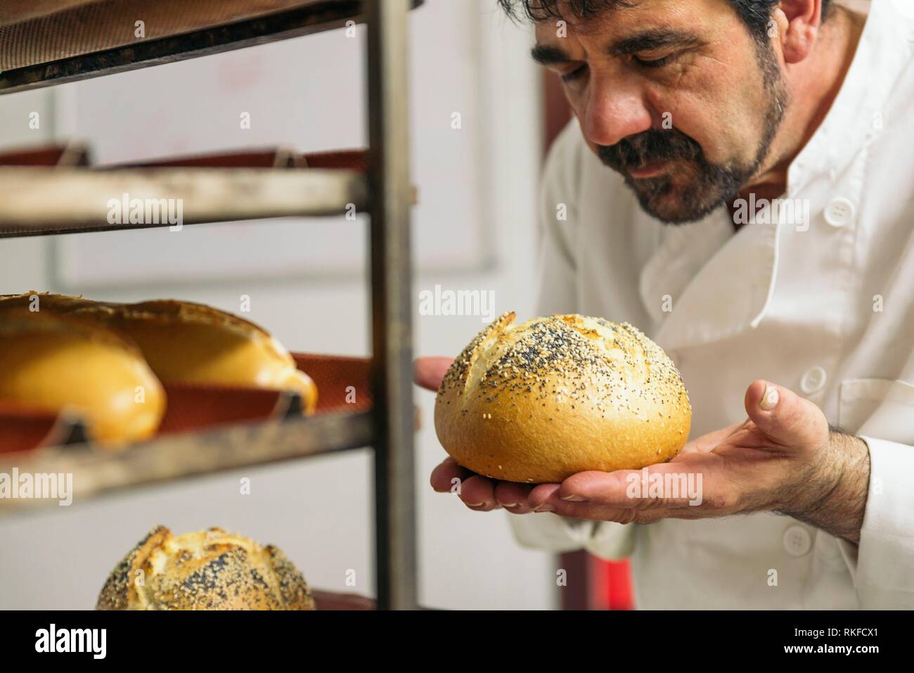Baker kneading dough in a bakery. Bakery Concept Stock Photo Alamy
