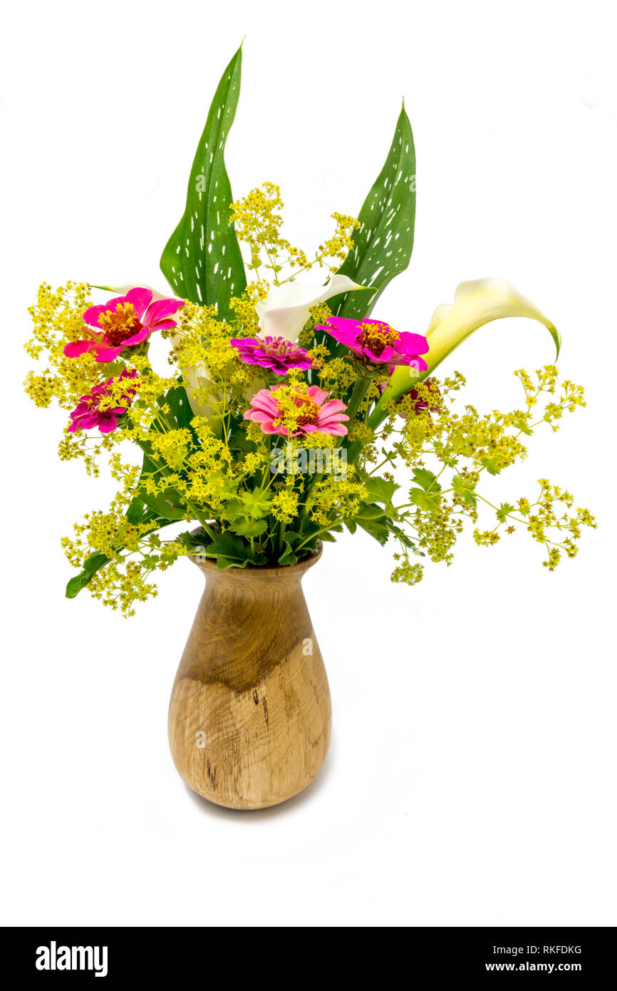 Ladys mantle container hi-res stock photography and images - Alamy