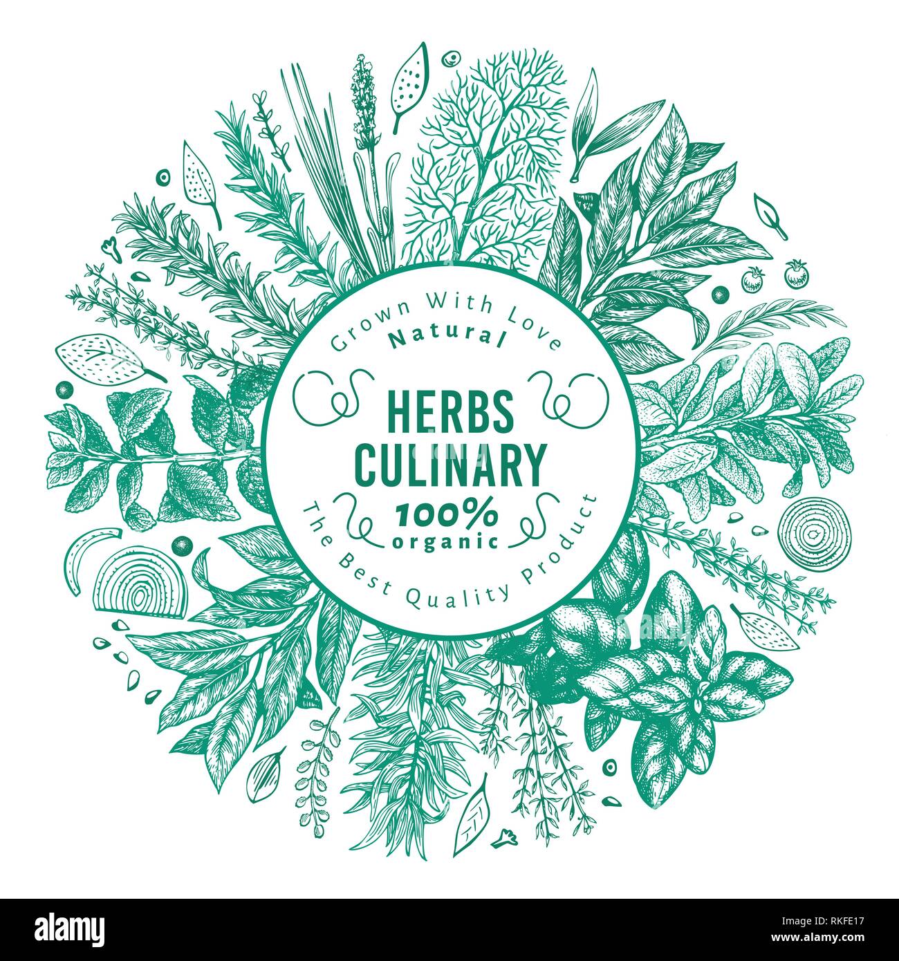 Culinary herbs and spices banner template. Vector background for design menu, packaging, recipes, label, farm market products. Hand drawn vintage botanical illustration. Stock Vector