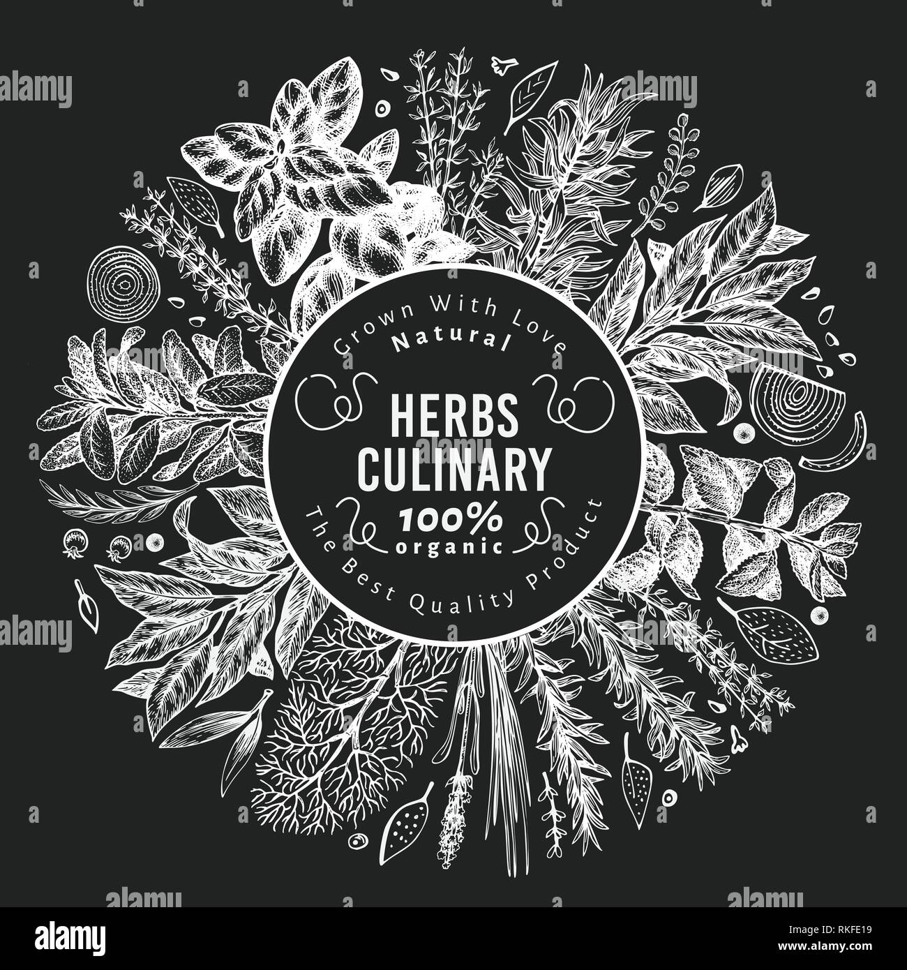 Culinary herbs and spices banner template. Vector background for design menu, packaging, recipes, label, farm market products. Hand drawn vintage botanical illustration on chalk board. Stock Vector