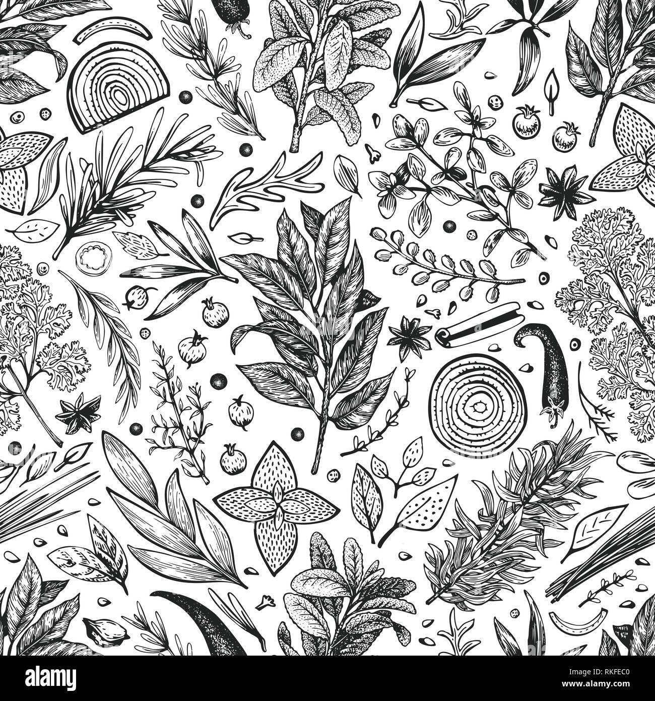 Culinary herbs and spices seamless pattern. Vector background for design menu, packaging, recipes, label, farm market products. Hand drawn vintage botanical illustration. Stock Vector