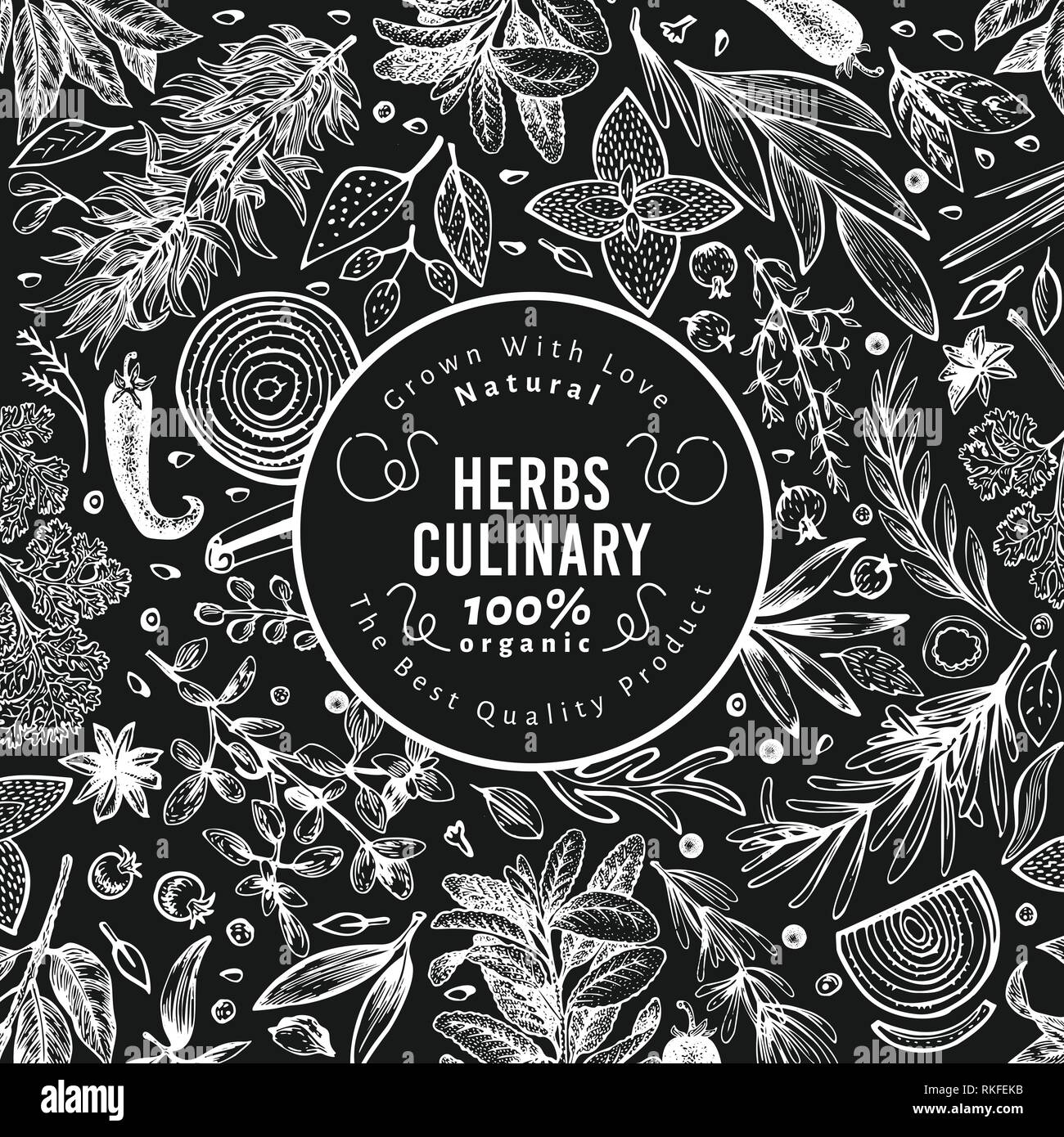 Culinary herbs and spices banner template. Vector background for design menu, packaging, recipes, label, farm market products. Hand drawn vintage botanical illustration on chalk board. Stock Vector