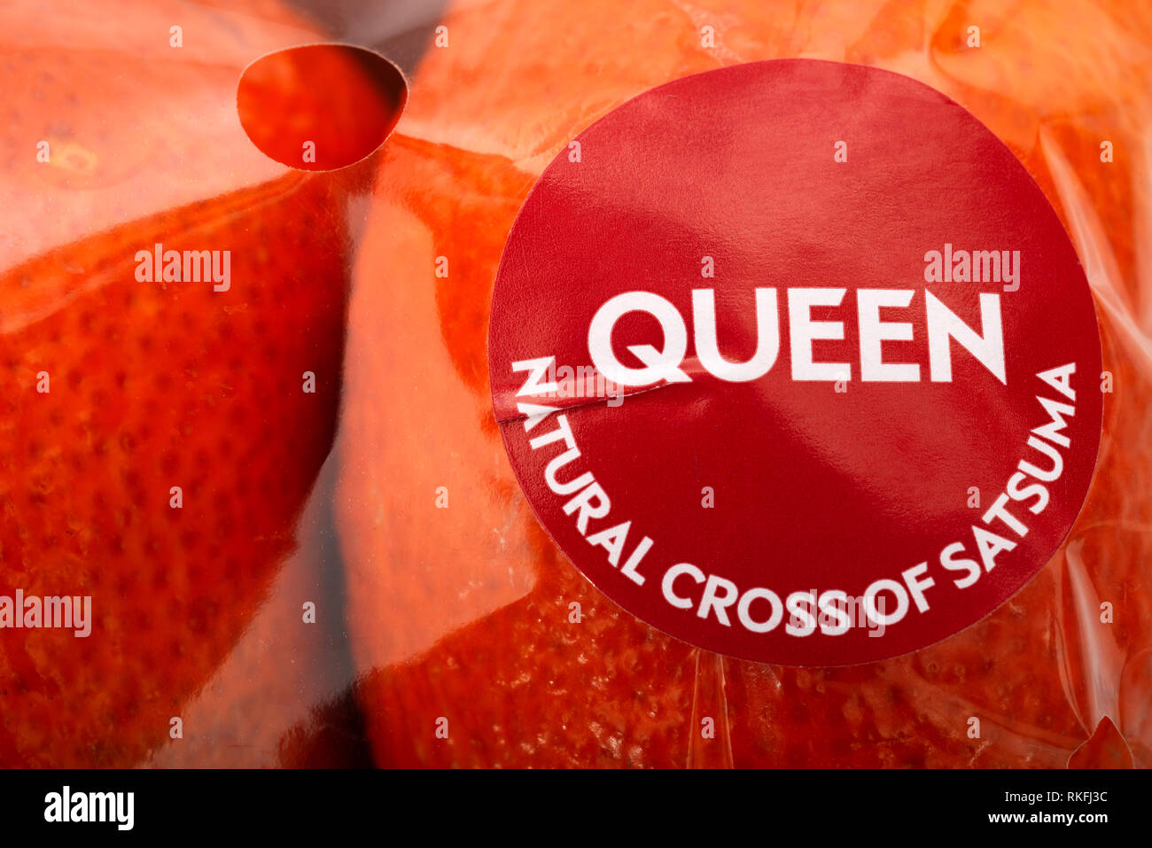 Queen natural cross of satsuma Stock Photo Alamy