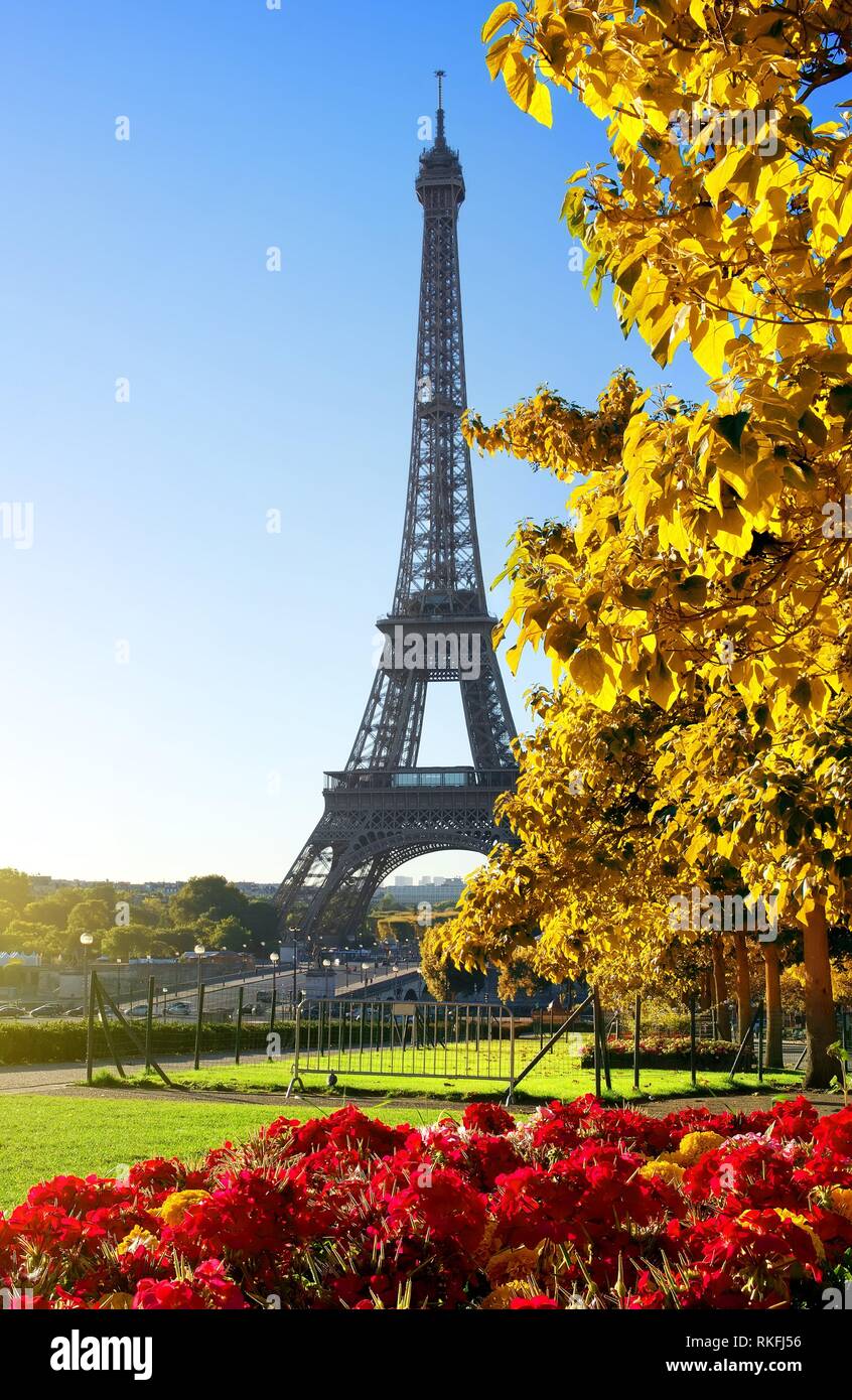 Sunny morning and Eiffel Tower, Paris, France. Stock Photo