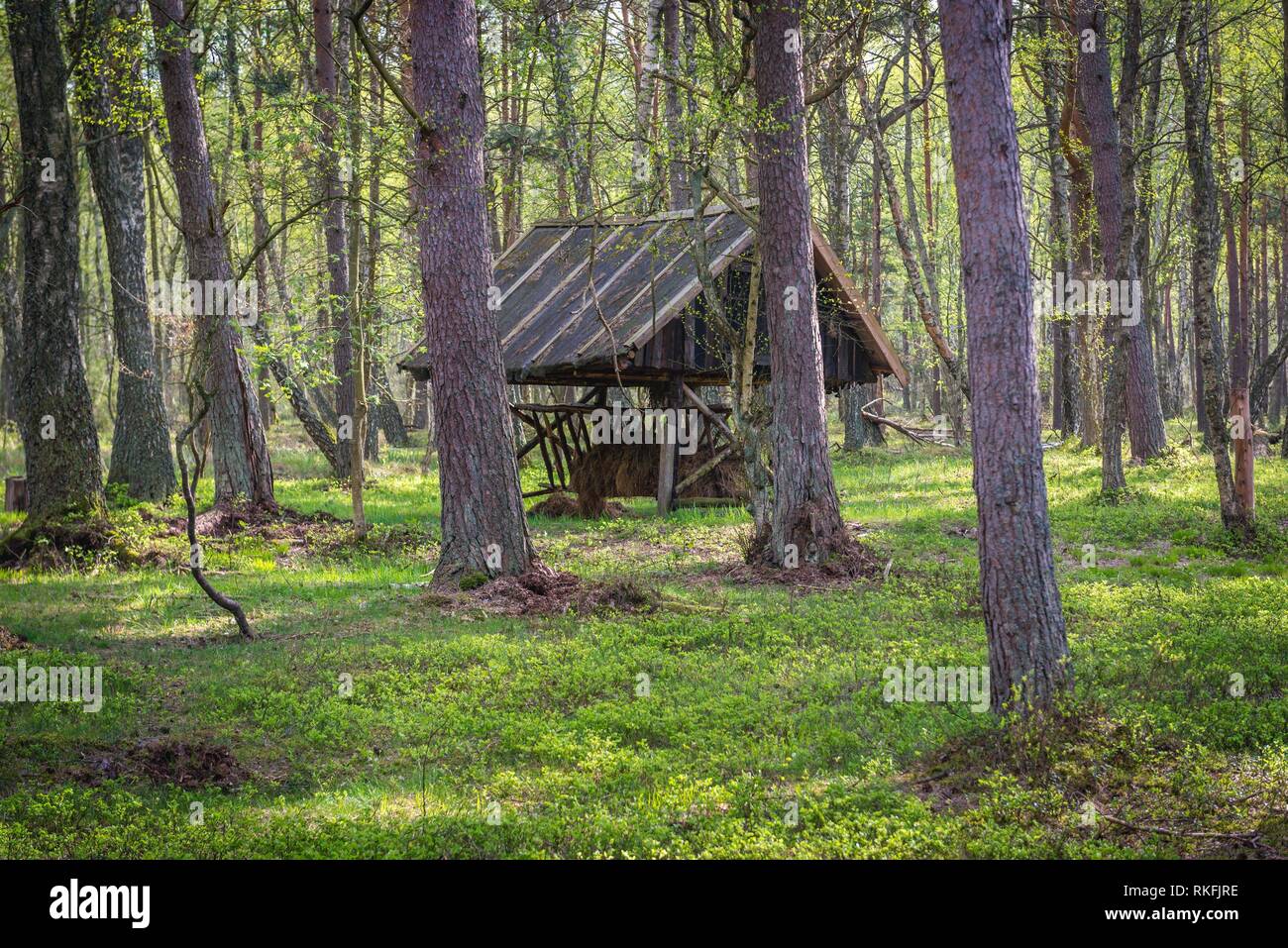Wild Animals Feeder In Nature Reserve Of Sarbska Spit Between