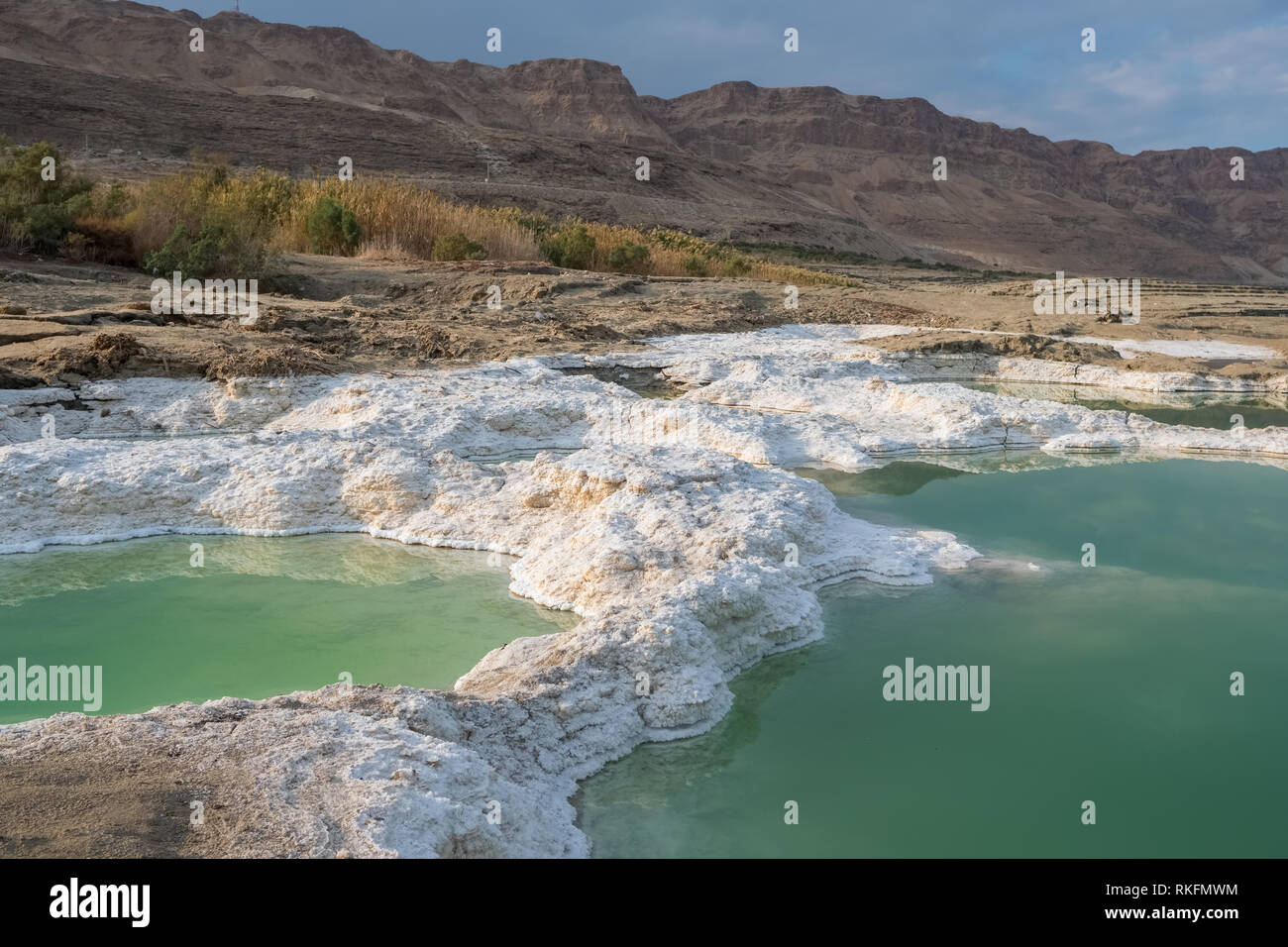 Close up view of salt crystals and mineral formation on the shore of Dead Sea in Israel. Health and beauty care Stock Photo