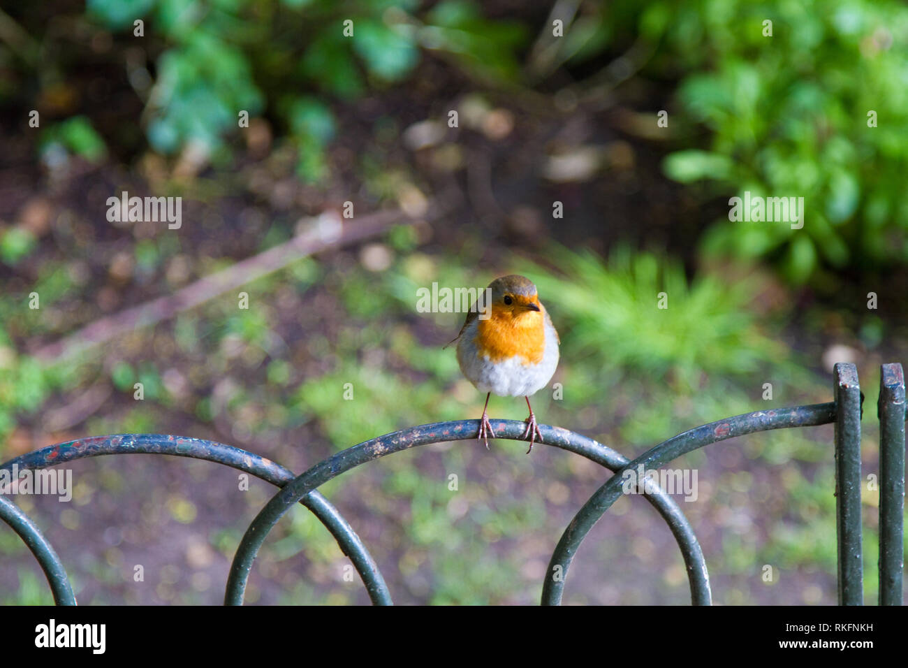 Farm railings hi-res stock photography and images - Alamy