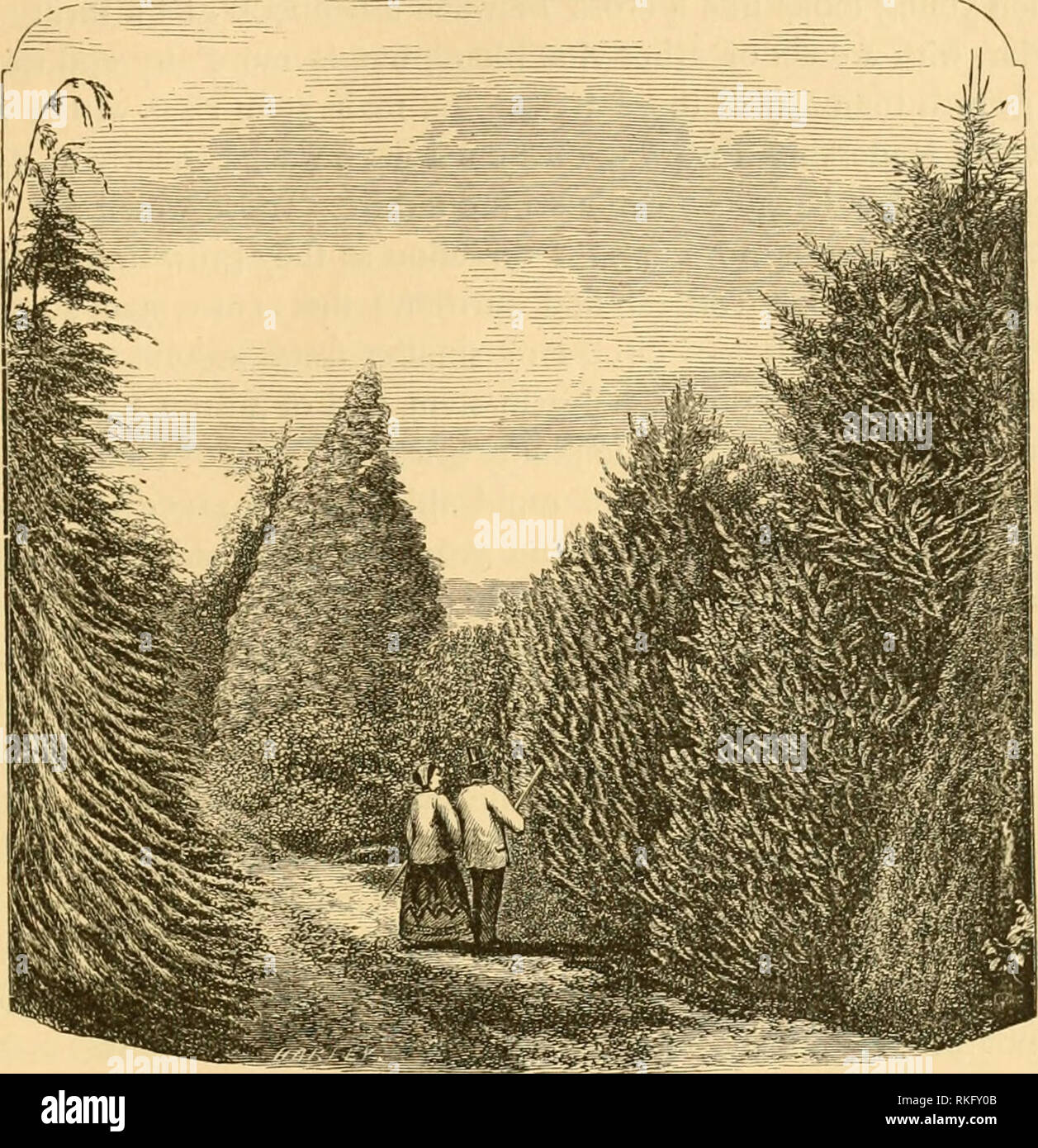 . The art of beautifying suburban home grounds of small extent ...