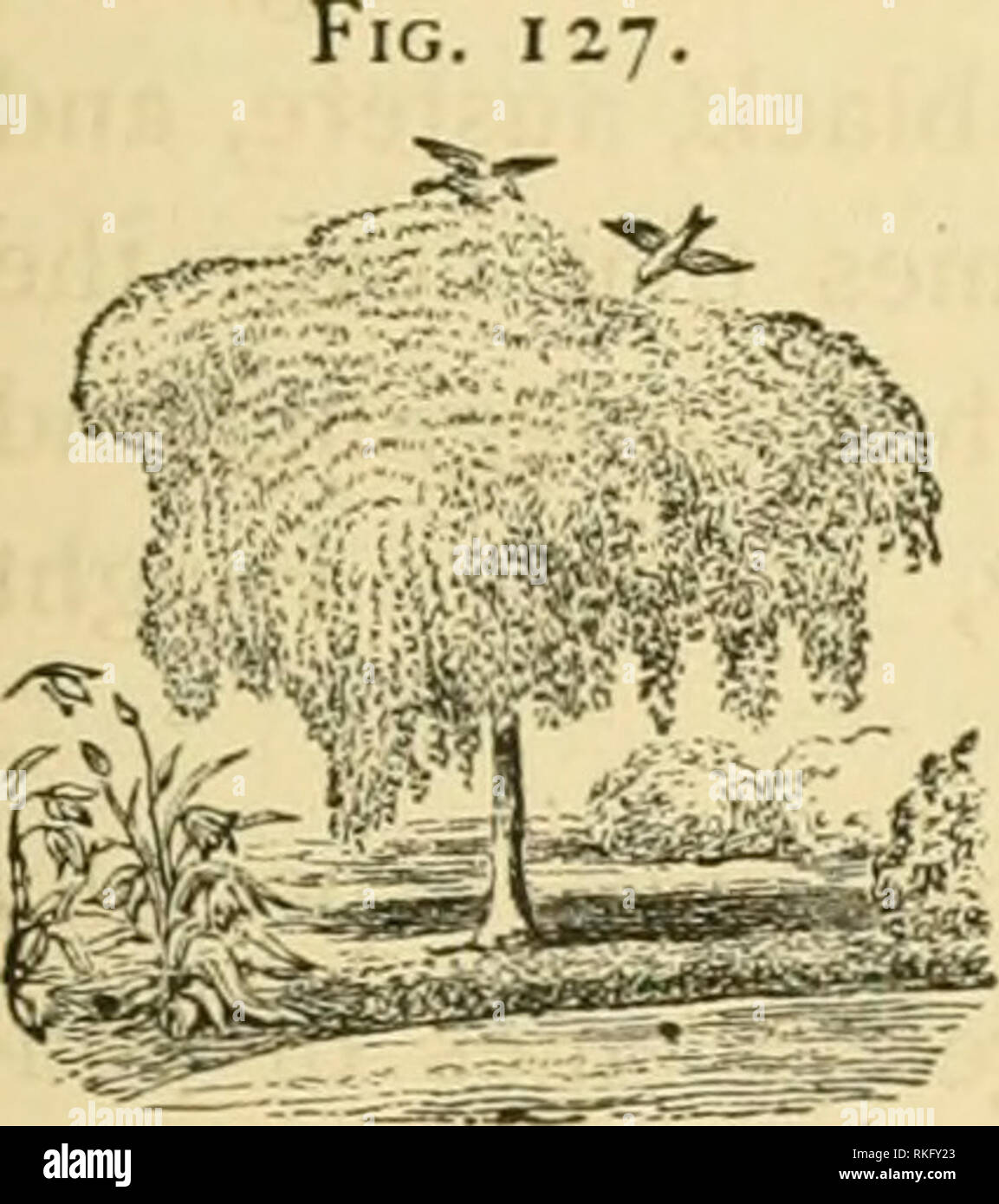 . The art of beautifying suburban home grounds of small extent ...