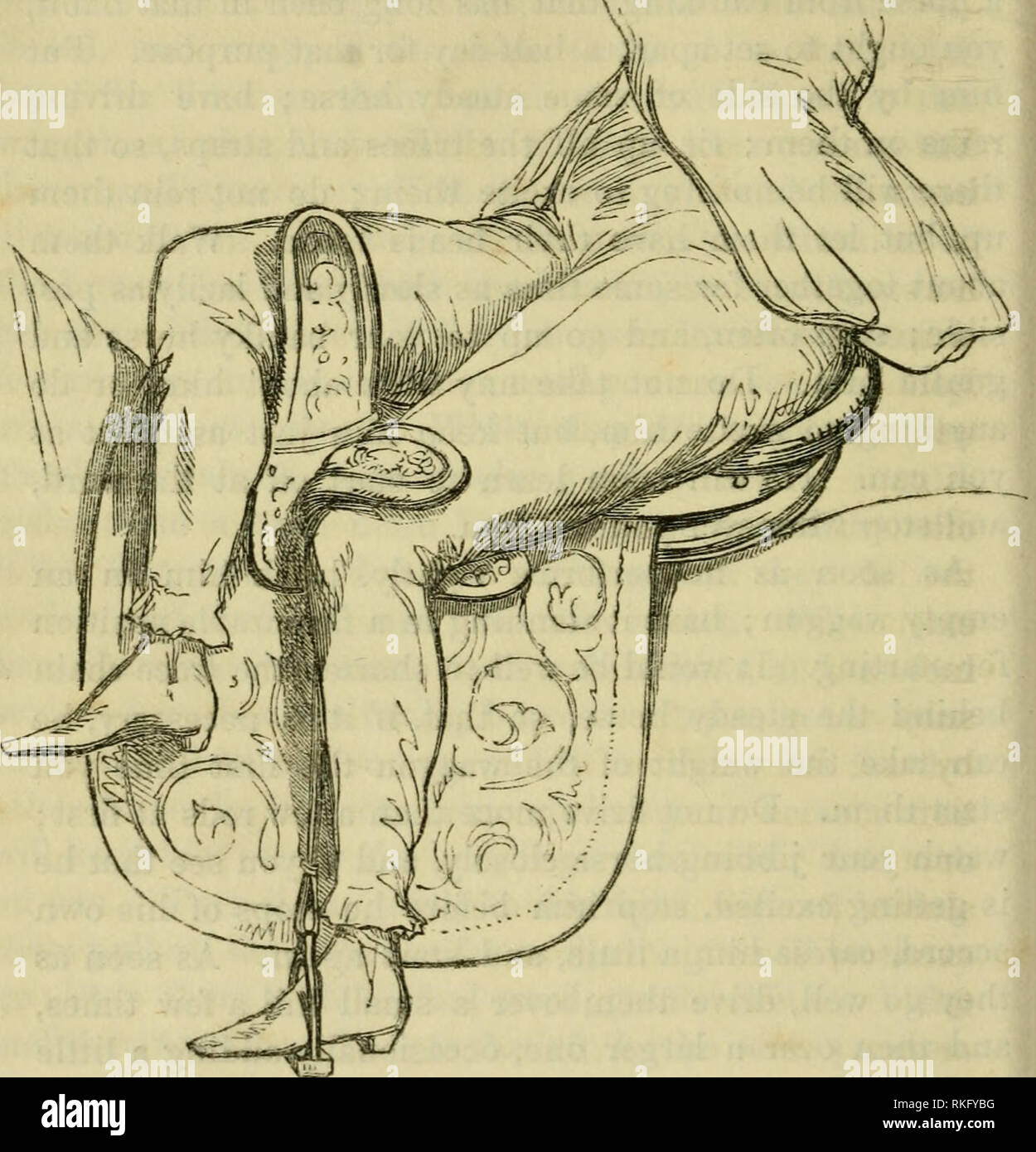 The art of taming horses. Horses; Horses -- Training. i^EAT, WITH  iin;TTNG-noRN roinisL. CHAPTER YIII. Value of good horsemansliip to both  sexes.—On teaehiug children.— Anecdote.—Haveloek's opinion.—Rarey's plan to  train ponies.— The
