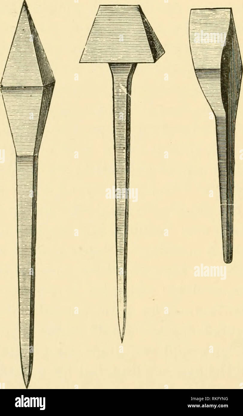 The Art Of Horse Shoeing Horseshoeing Hoofs Chr 1905 Pro Mcneil