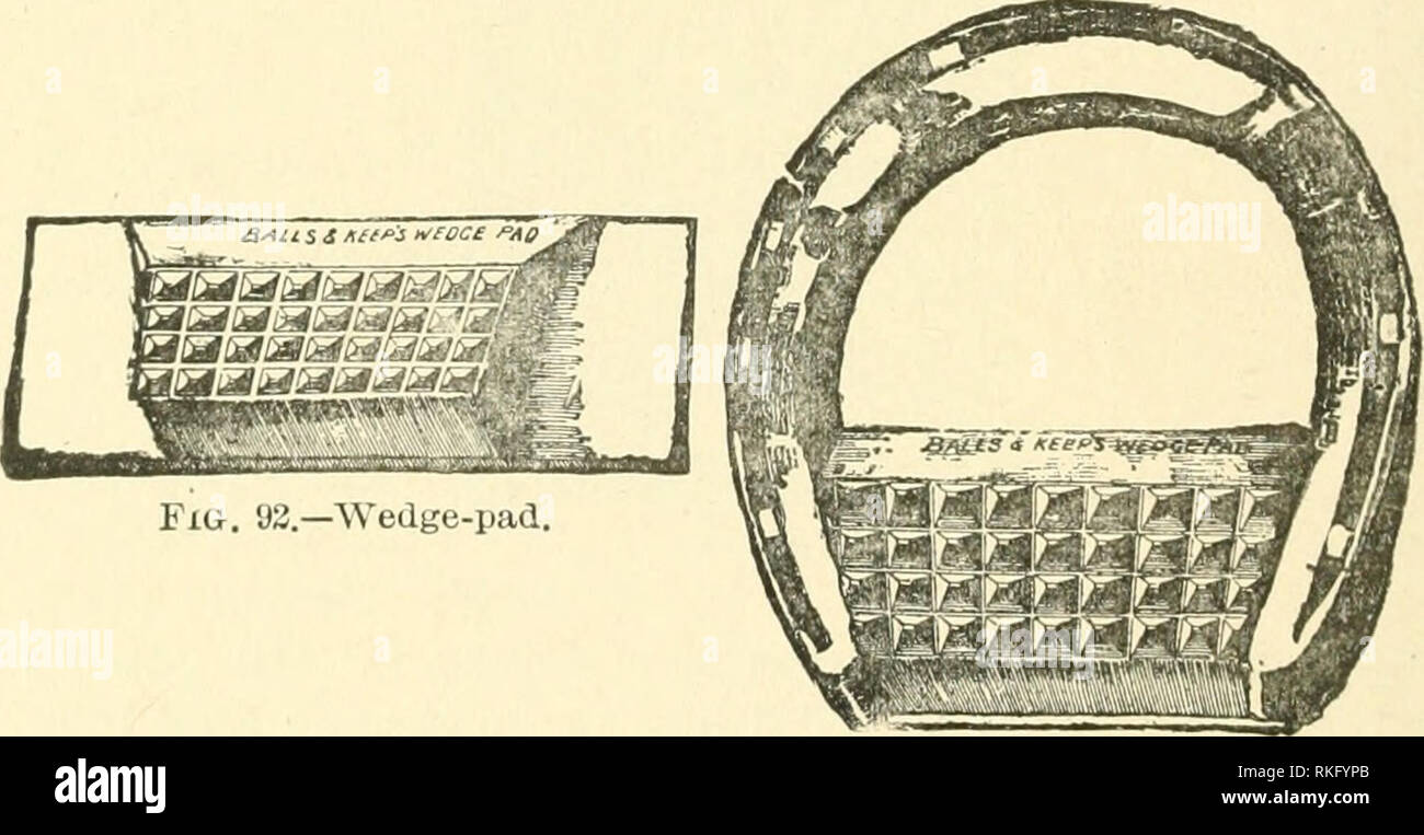 . The art of horse-shoeing : a manual for farriers. Horseshoeing. Fig. 91.—Sheather's pad. What is called the &quot;bar-pad &quot; is a leather plate on which an india-rubber pad occupies the whole of the back portion, and it is fixed to the foot with a short shoe.. Fig. 93.—Pad with shoe attached. This pad is not only an anti-slipping agent, it is anti- concussive, and for some diseases and some injuries of the heels is a most valuable appliance. For long-stand- ing &quot;corns,&quot; for cases of chronic laminitis, and for horses that markedly &quot; go on their heels&quot; the bar-pad is wi Stock Photo