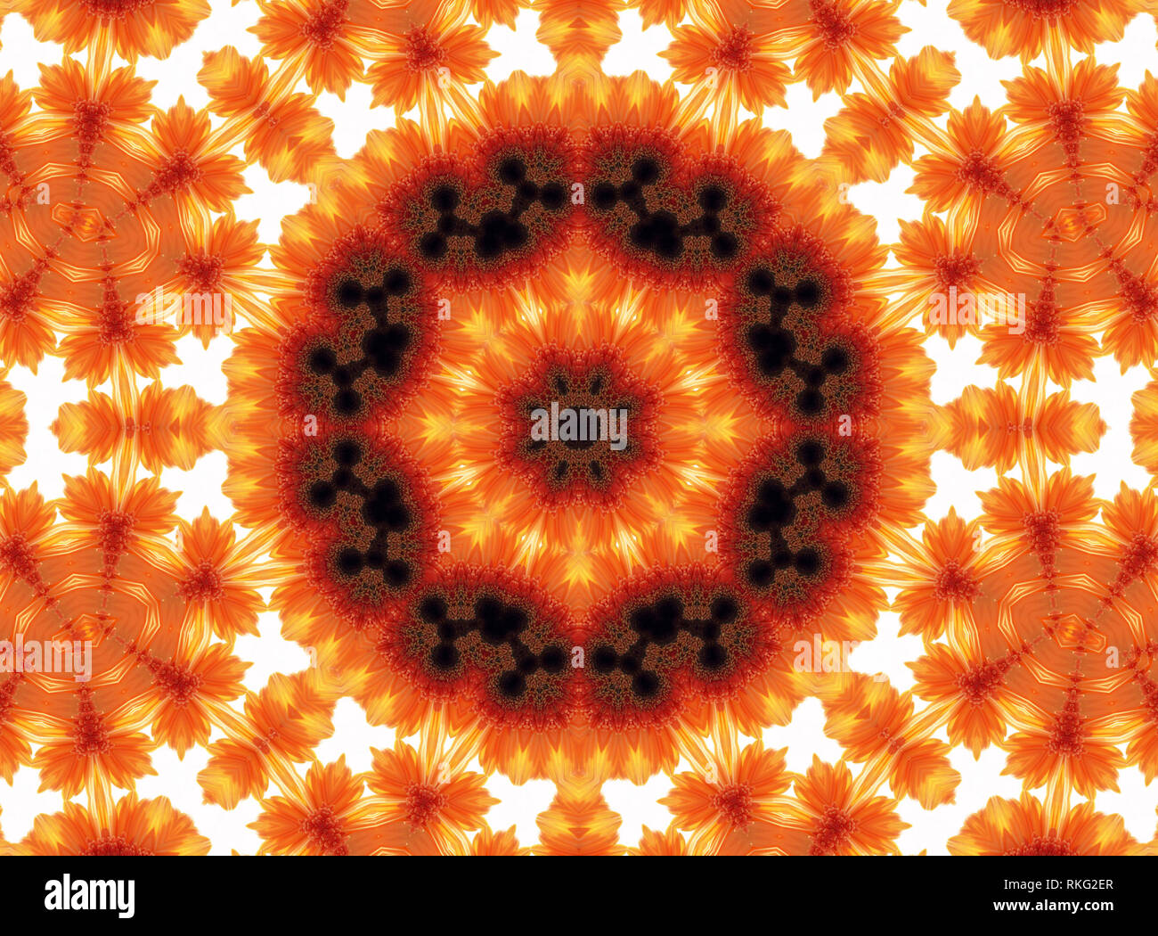Abstract nature pattern with flower of Gerber Stock Photo - Alamy