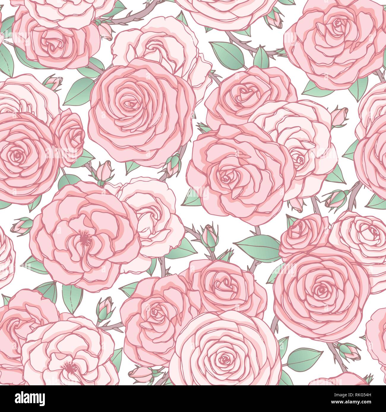 Vector seamless pattern with pink rose flowers and leaves on white ...