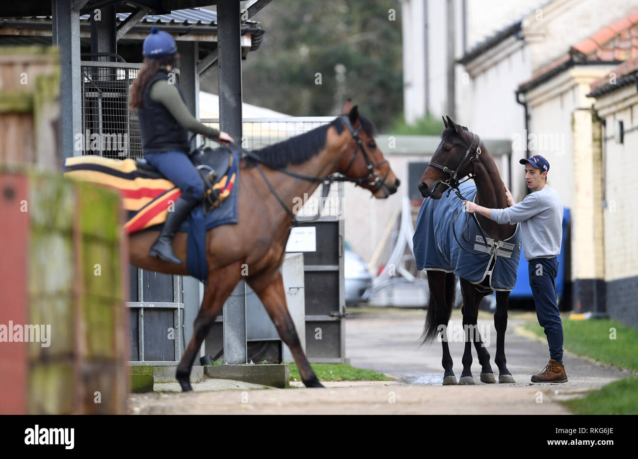 Stable staff at Kremlin House Stables, Newmarket Stock Photo Alamy