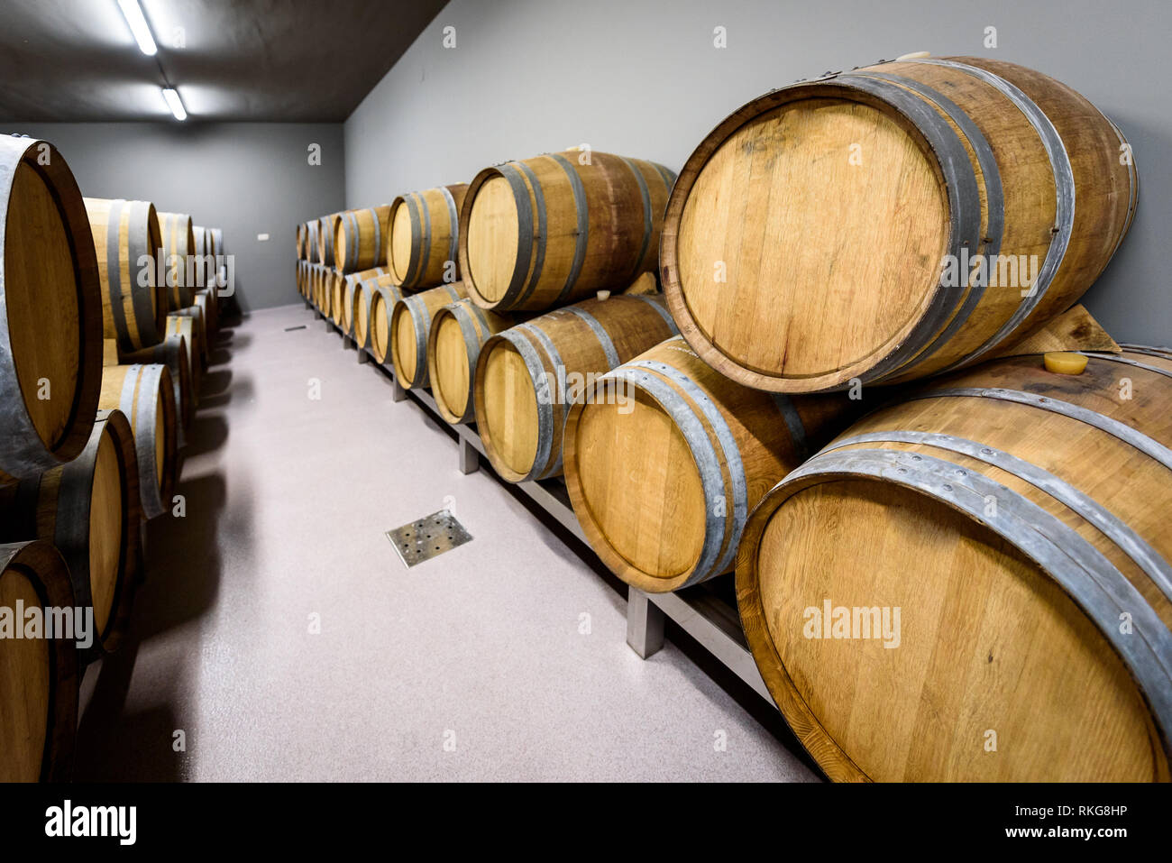Wooden wine barrels stacked in modern winery cellar in Spain. Modern