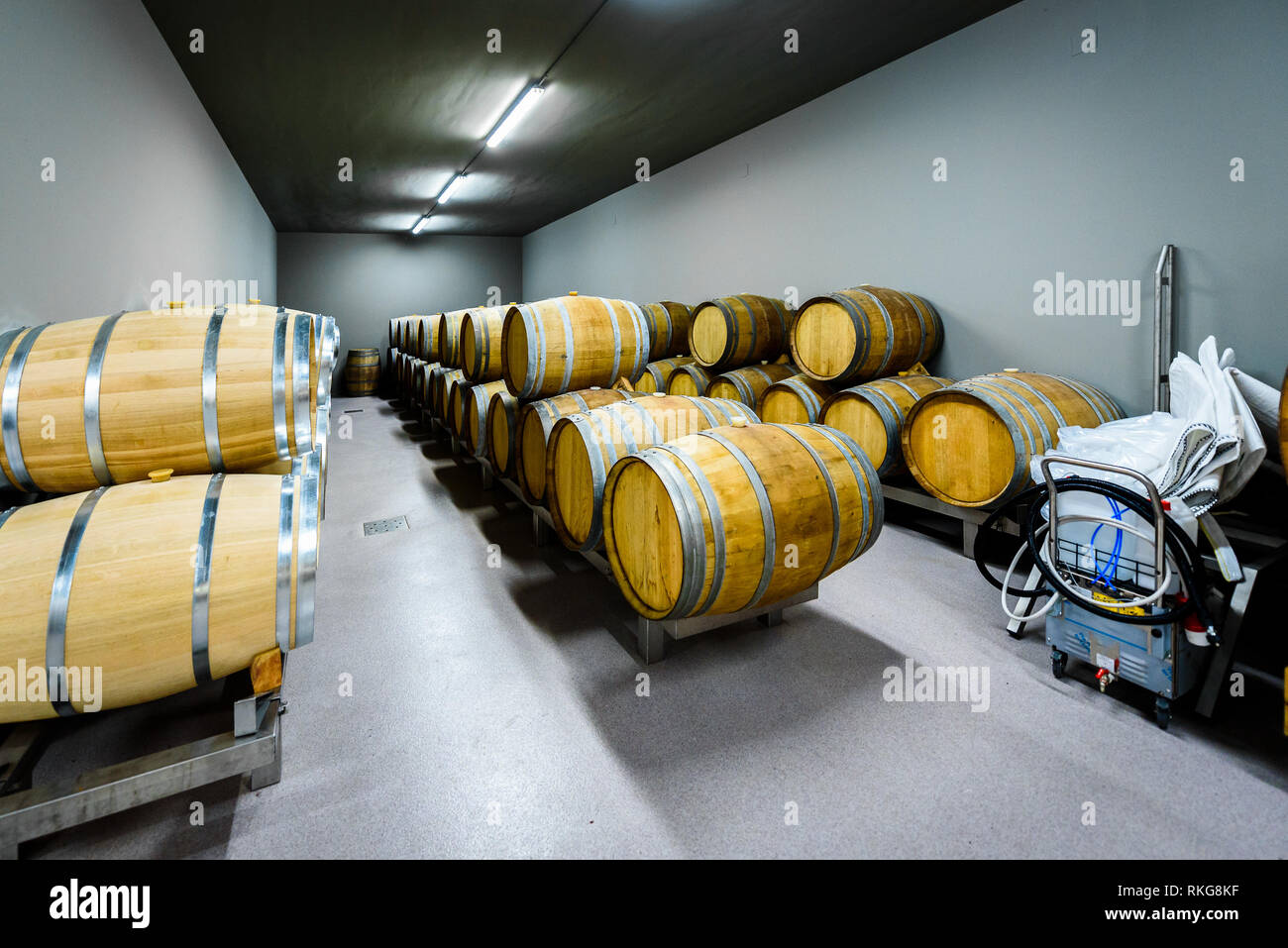 Wooden wine barrels stacked in modern winery cellar in Spain. Modern