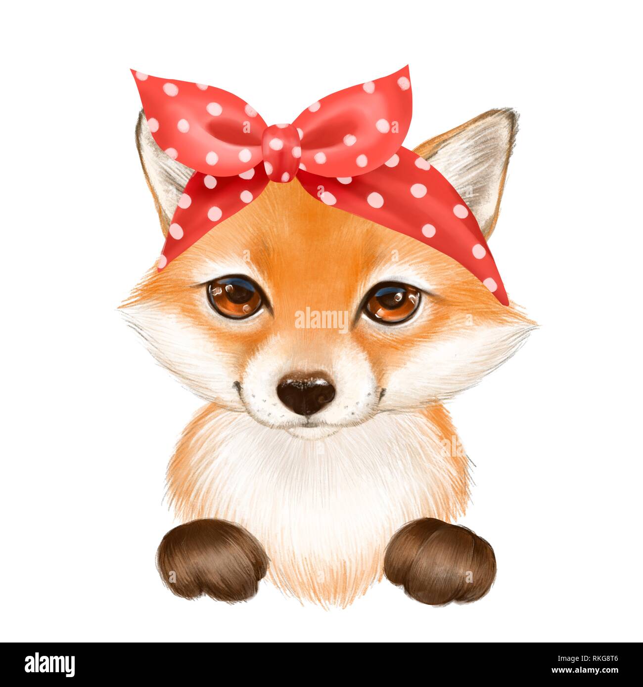 Cute fox wearing bandana Stock Photo