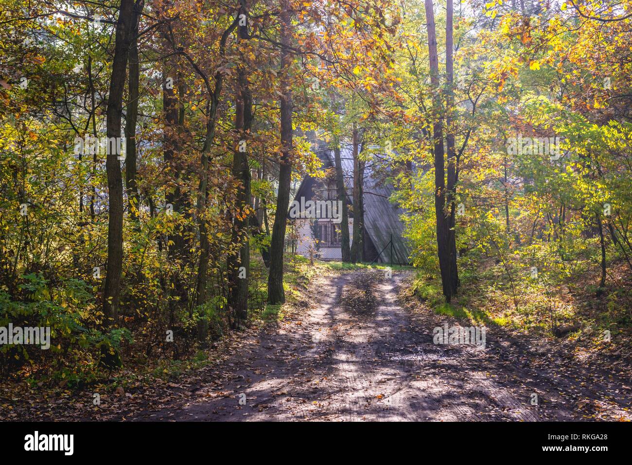 House in Kampinos Forest, large forests complex in Masovian Voivodeship