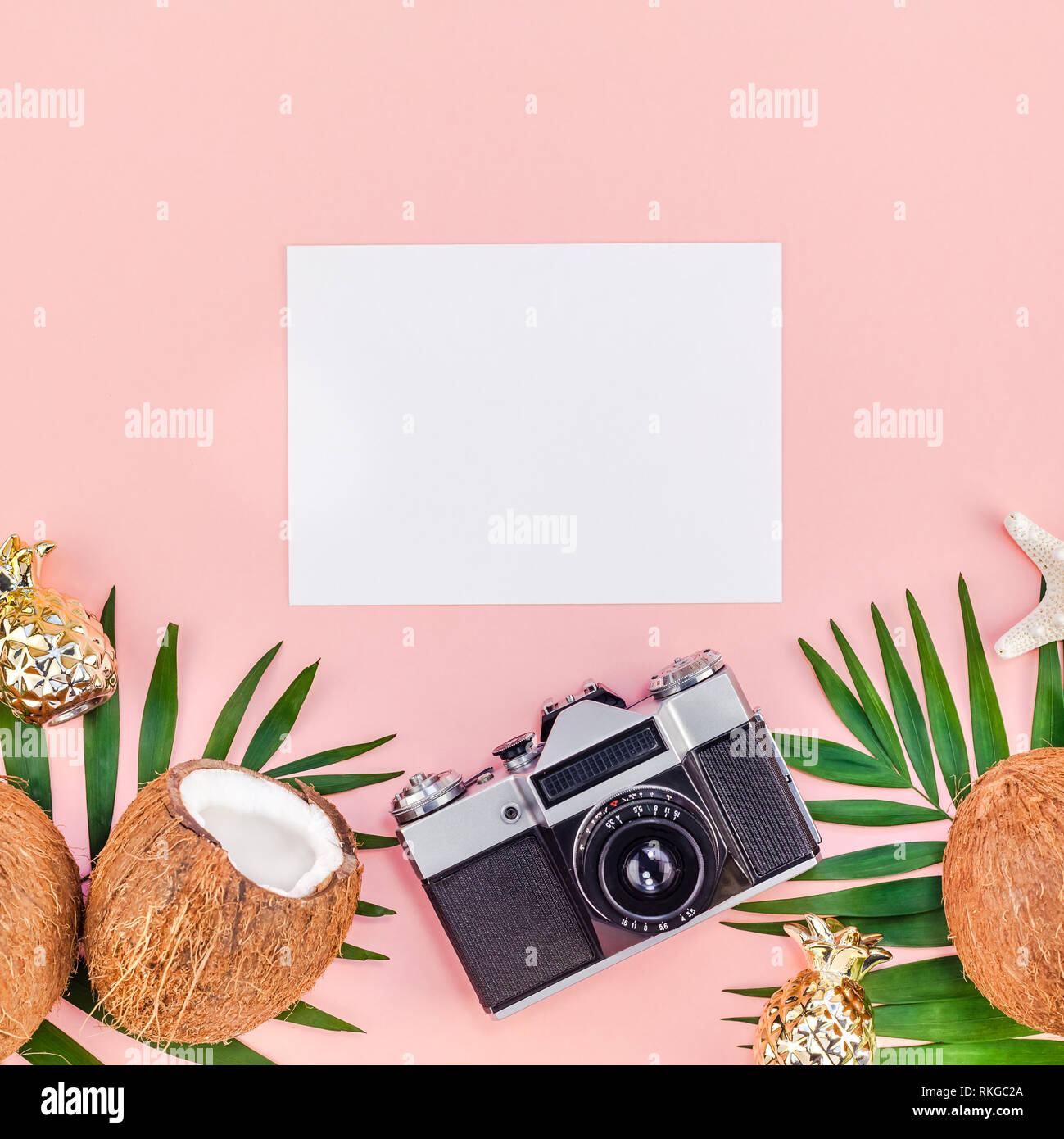 Creative flat lay top view mock up green tropical palm leaves coconuts ...