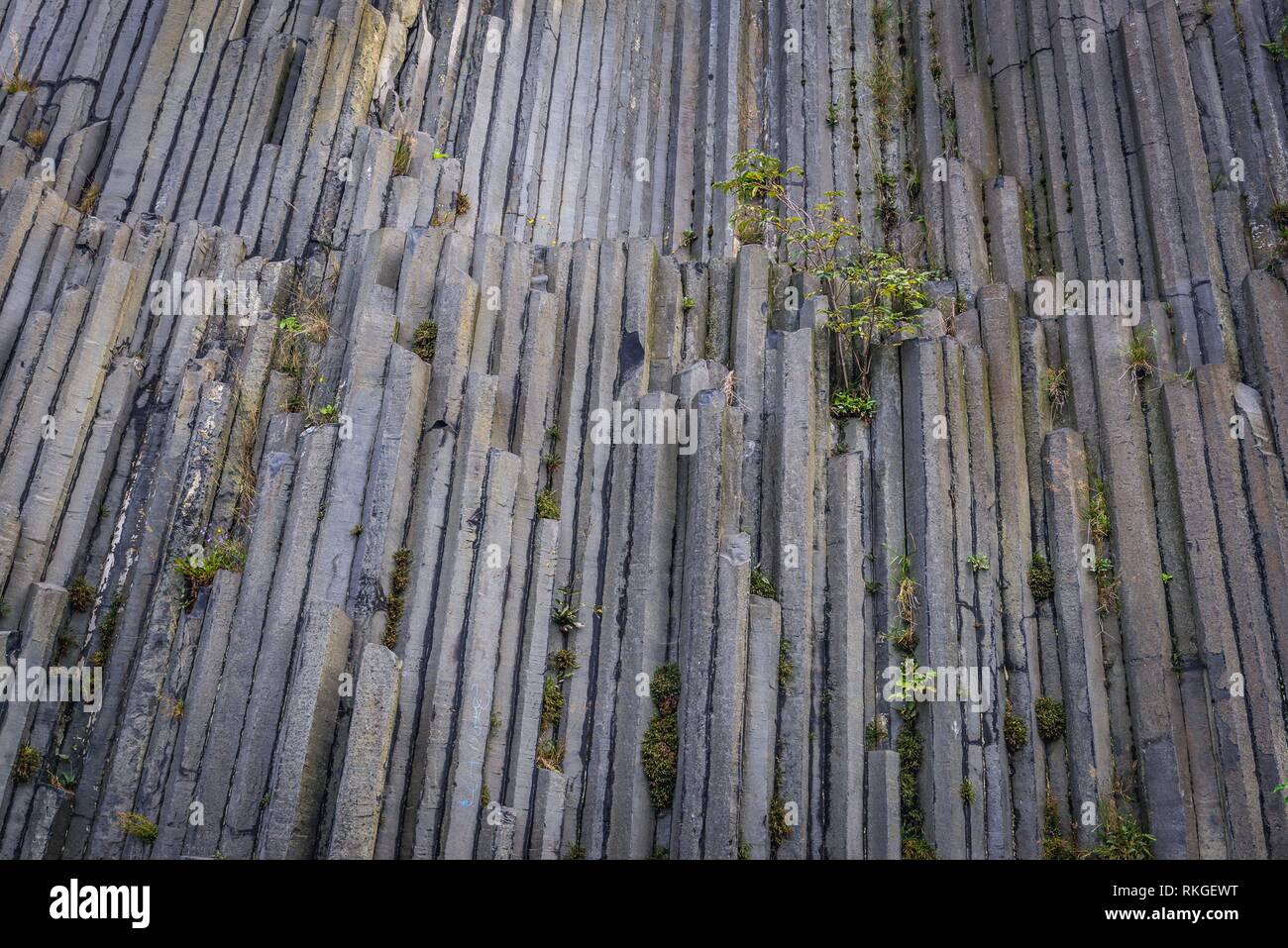 Famous columnar jointed basalt rock formation called Panska Skala (The