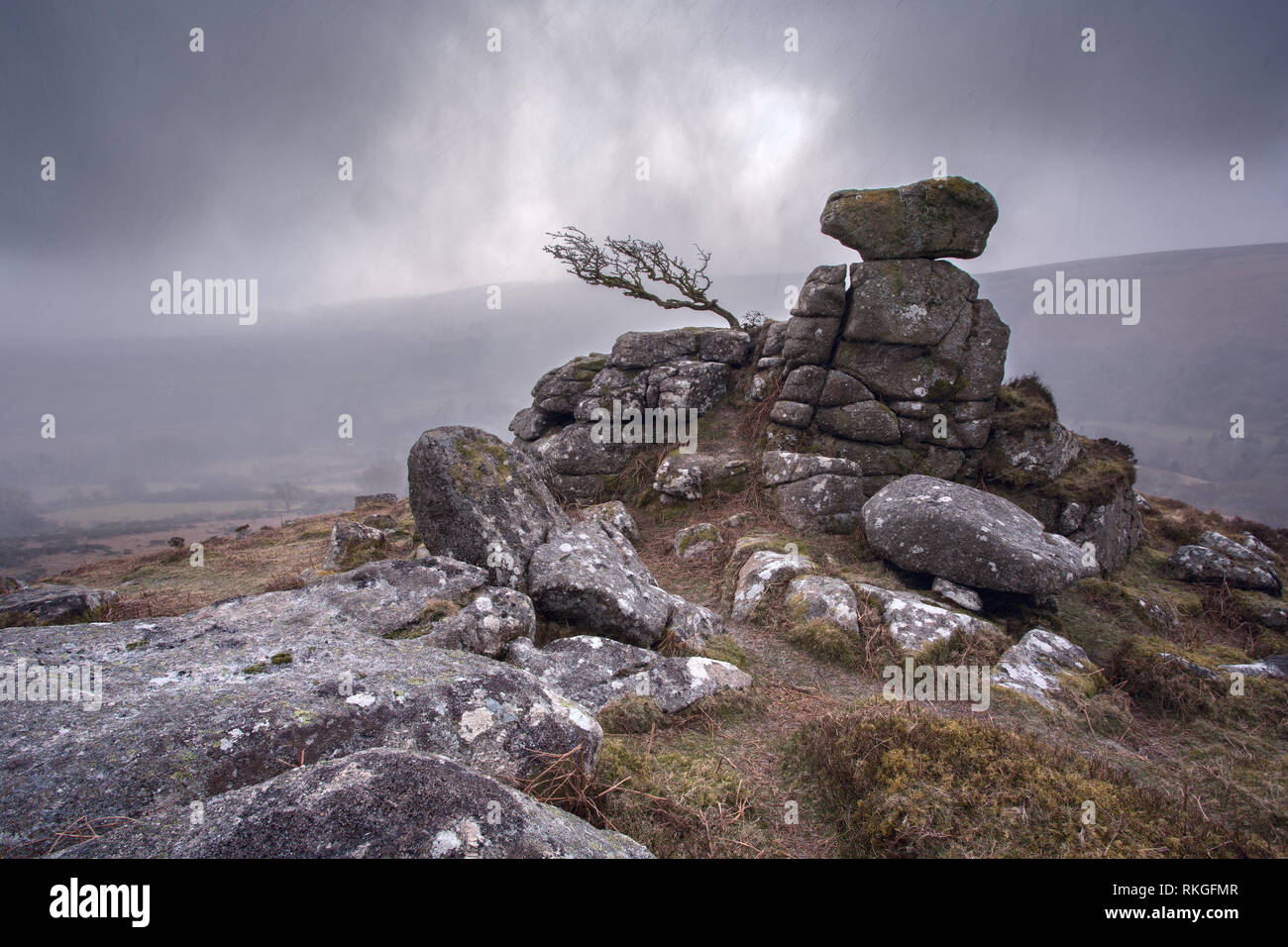 A passing snow shower on Chinkwell tor Dartmoor National park Devon Uk Stock Photo