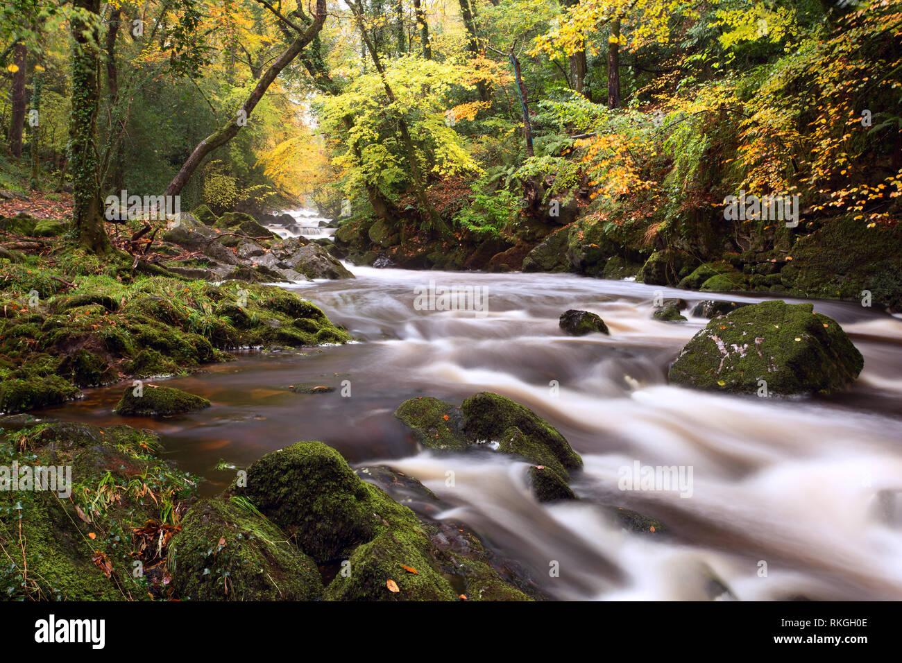 River Erme near Ivybridge in autumn Dartmoor national park Devon Uk Stock Photo