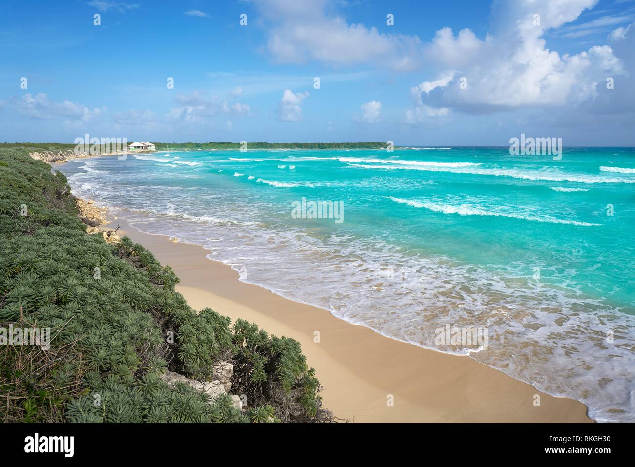 Cozumel island San Martin beach in Riviera Maya of Mayan Mexico Stock Photo  - Alamy