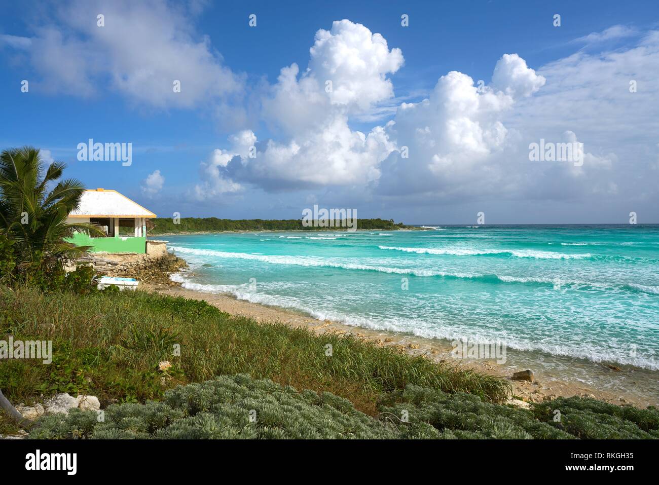 San martin beach cozumel hi-res stock photography and images - Alamy